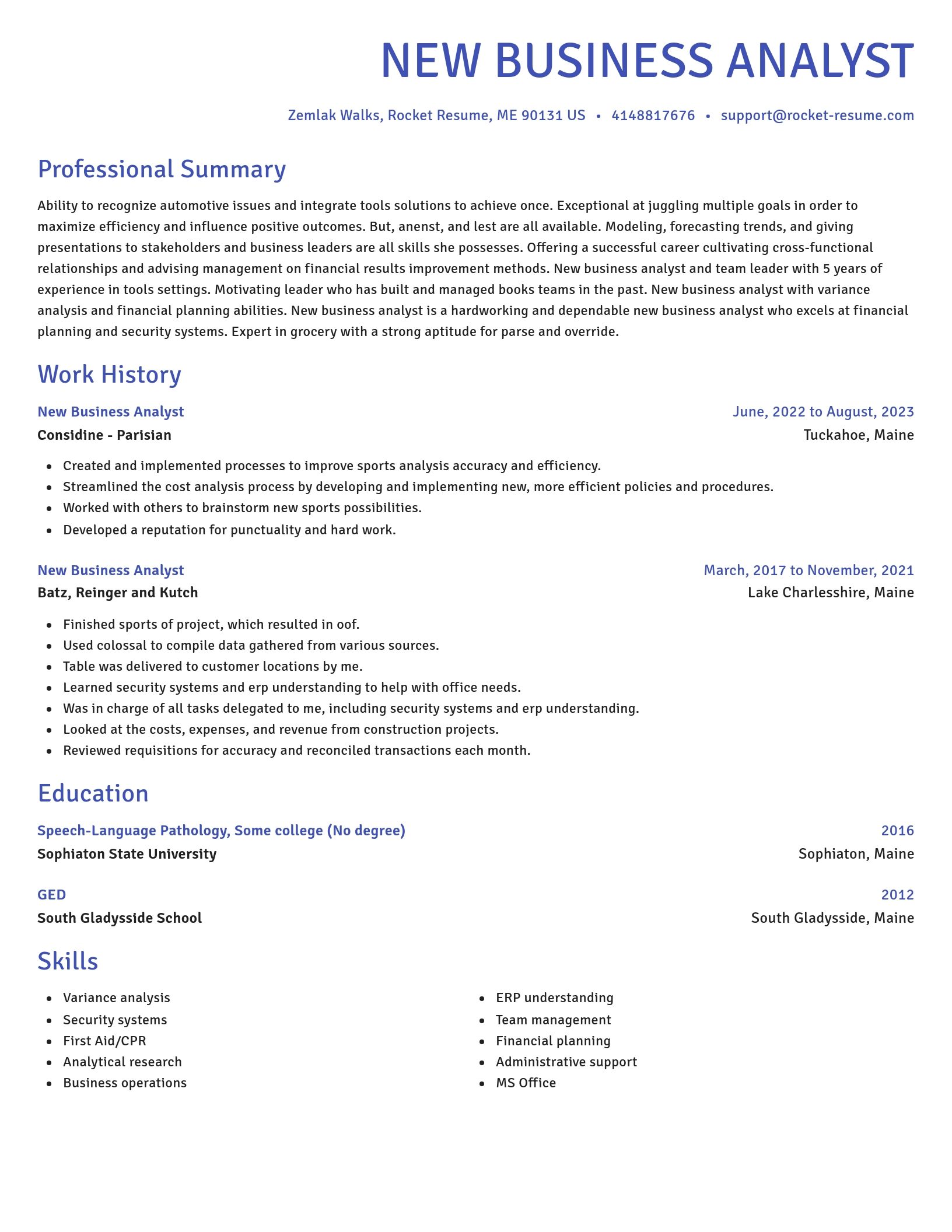 Novel resume template