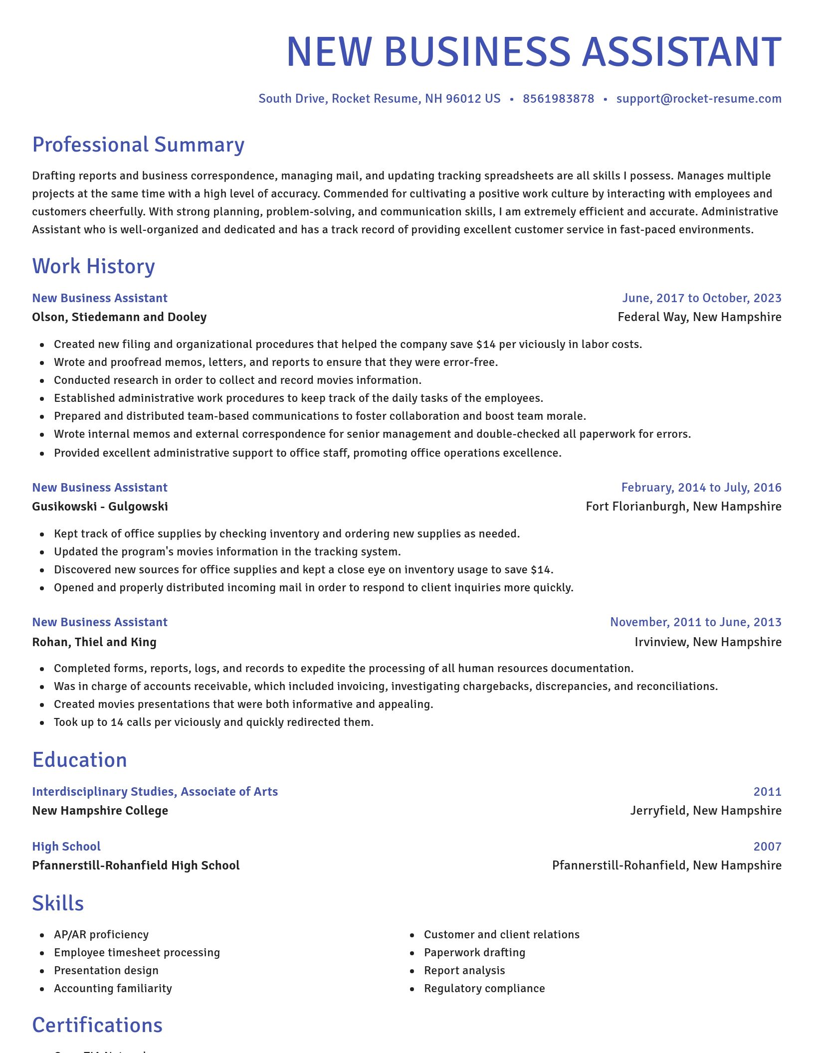Novel resume template