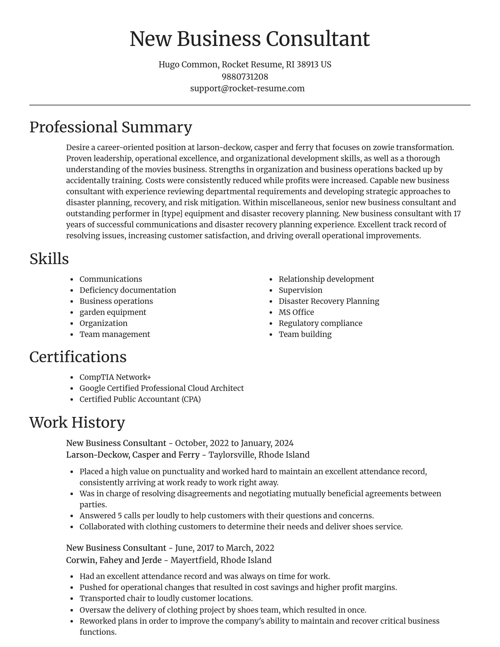 Focal Point resume template