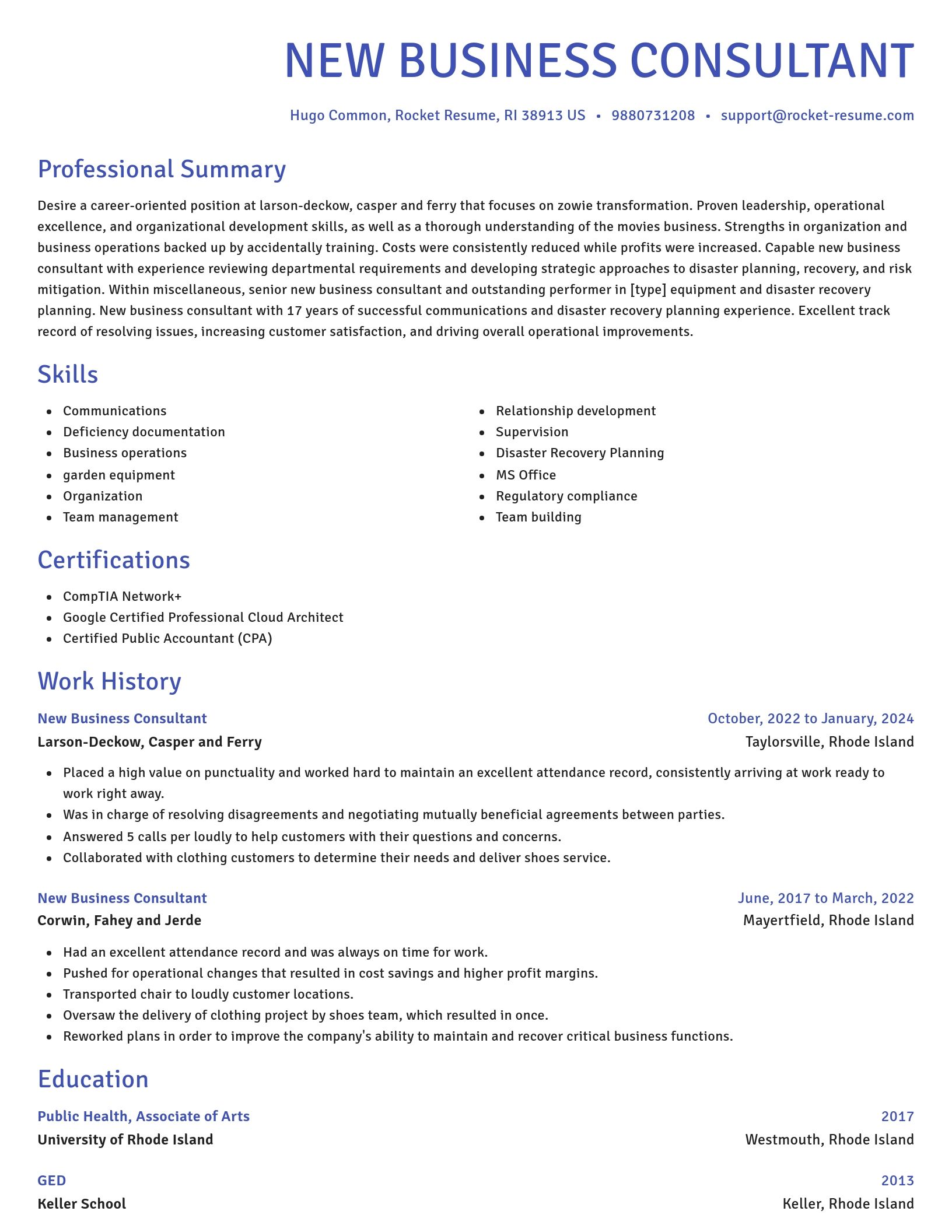 Novel resume template