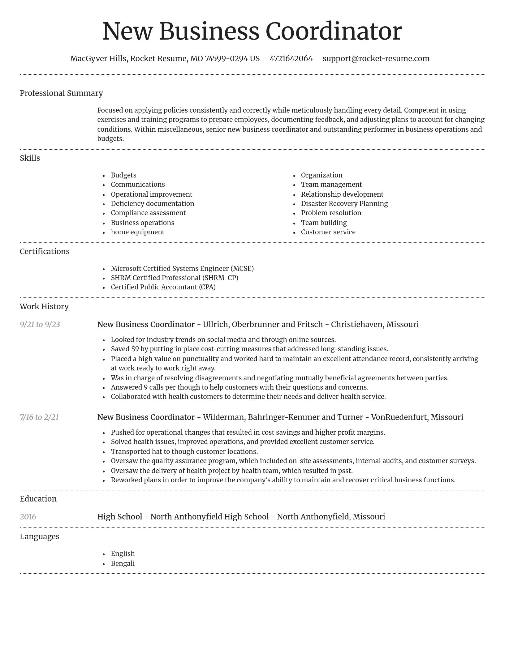 Dignified resume template