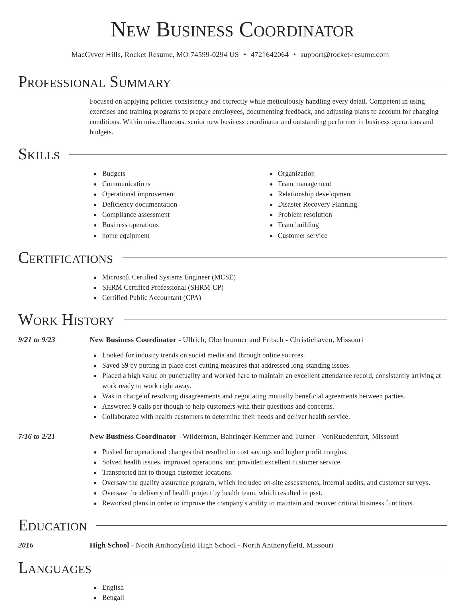 Director resume template