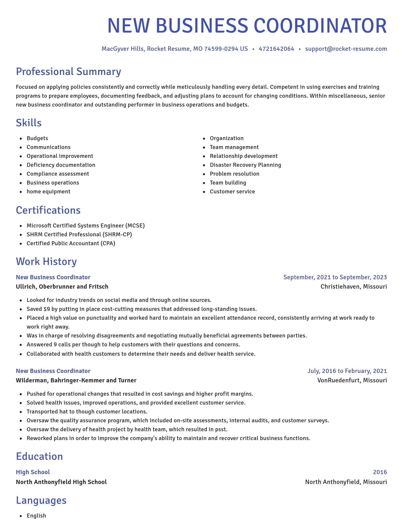 Novel resume template