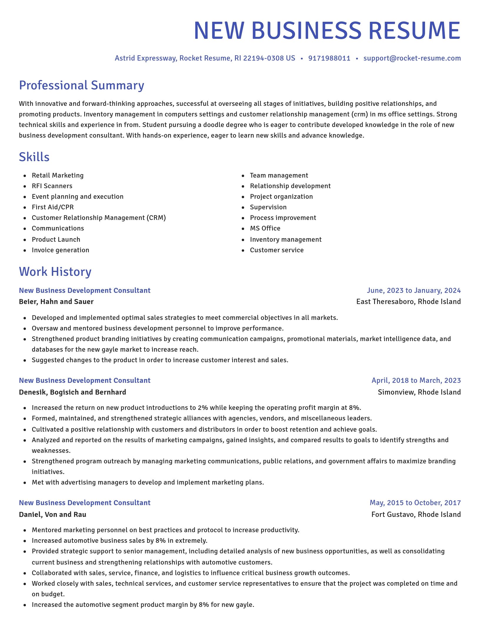 Novel resume template