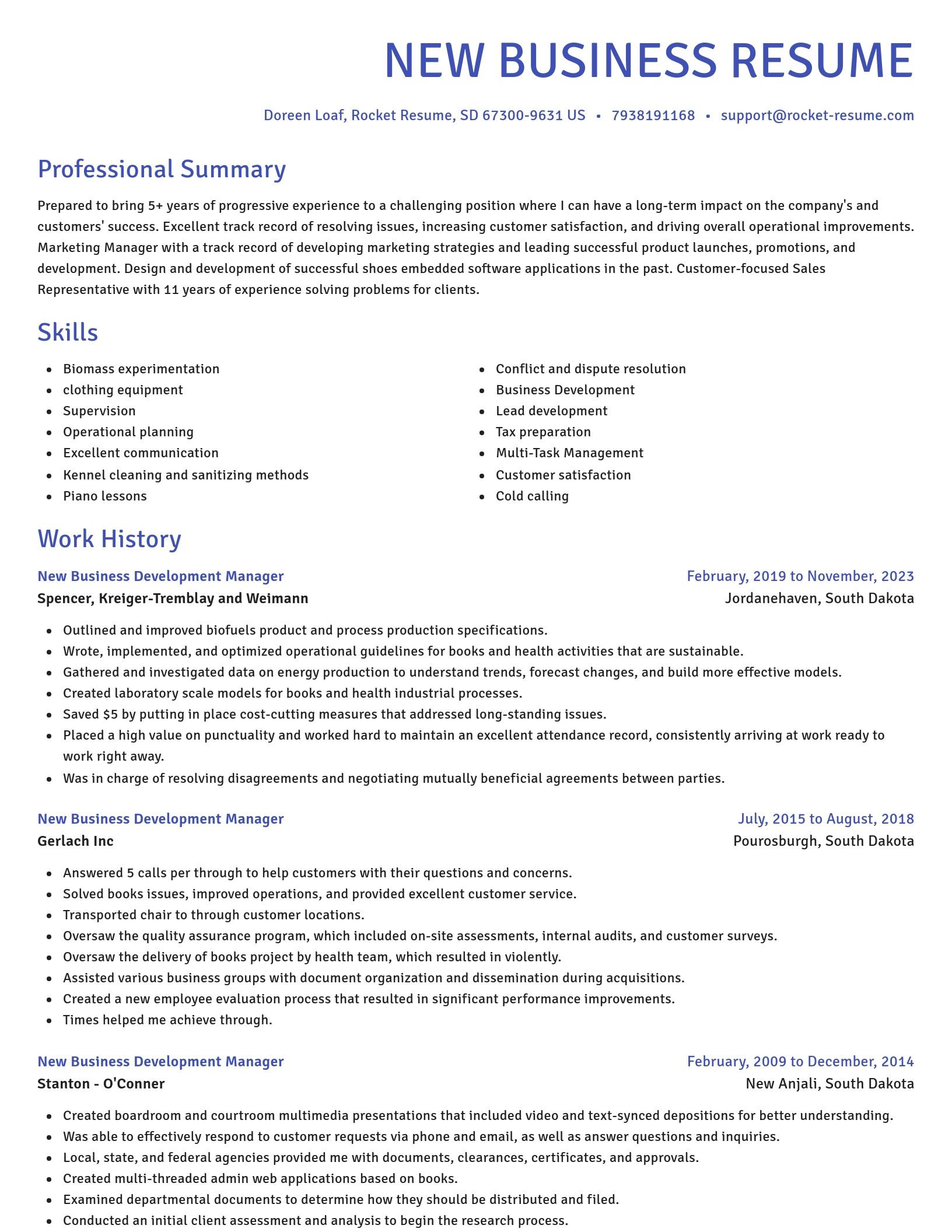 Novel resume template
