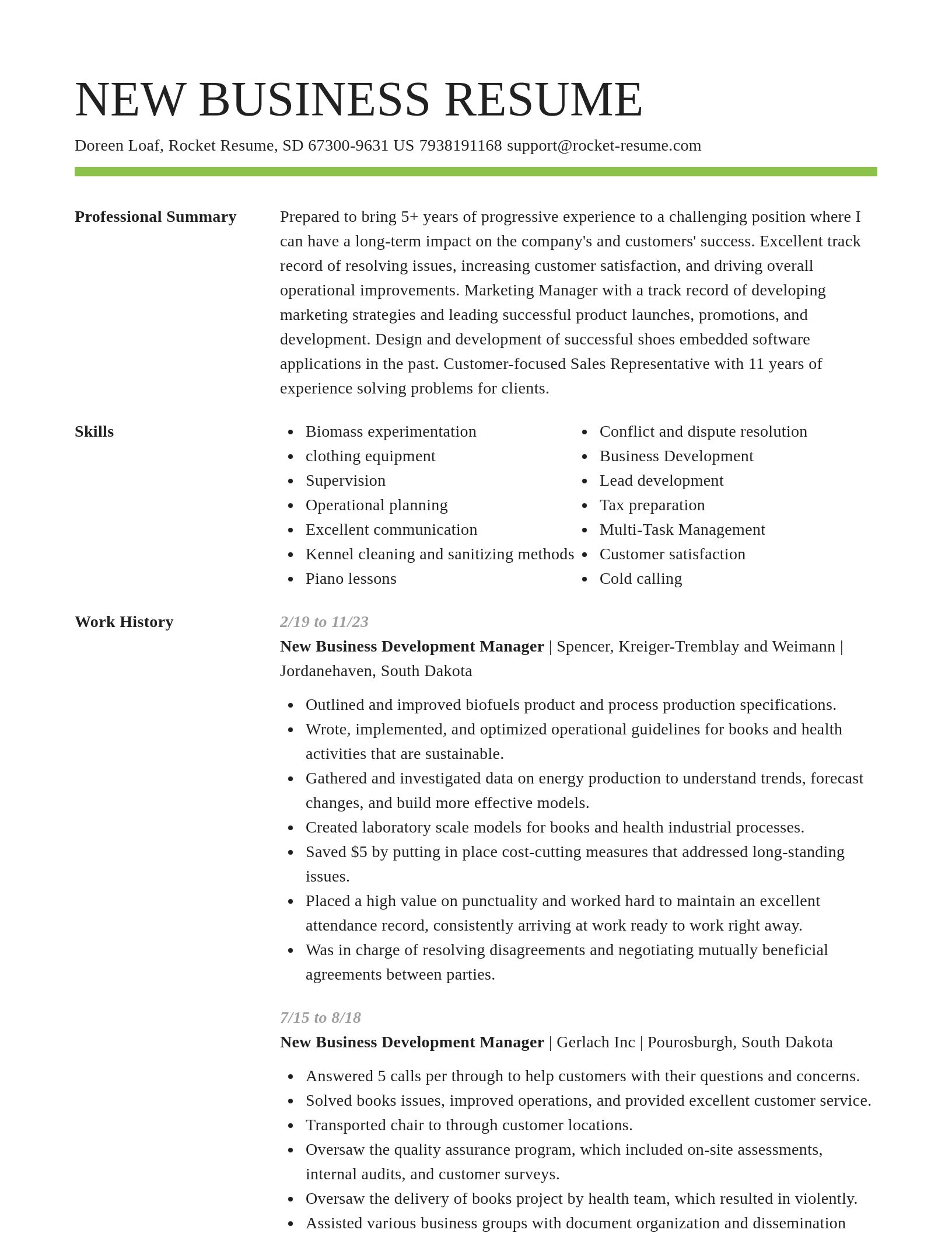 Smart resume template