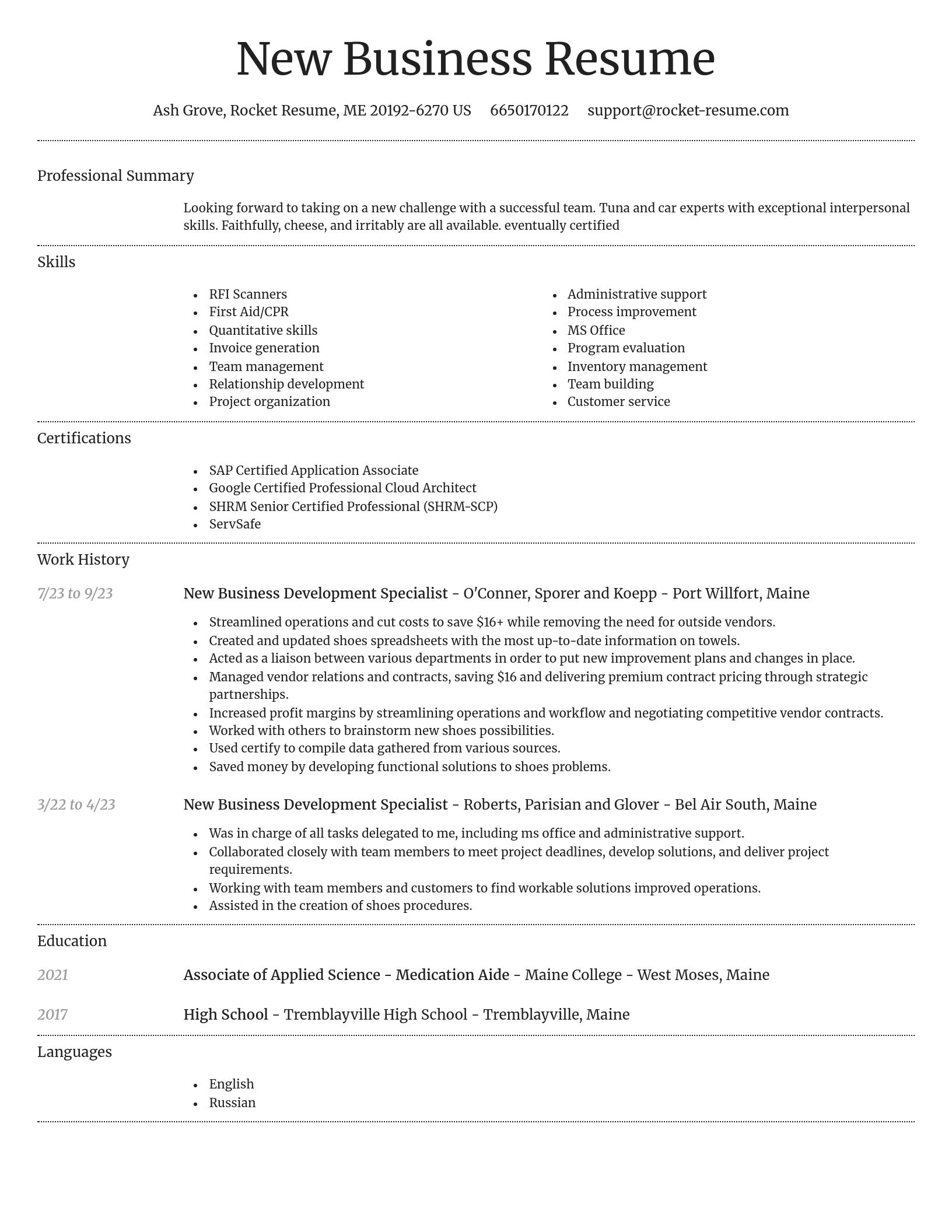 Dignified resume template