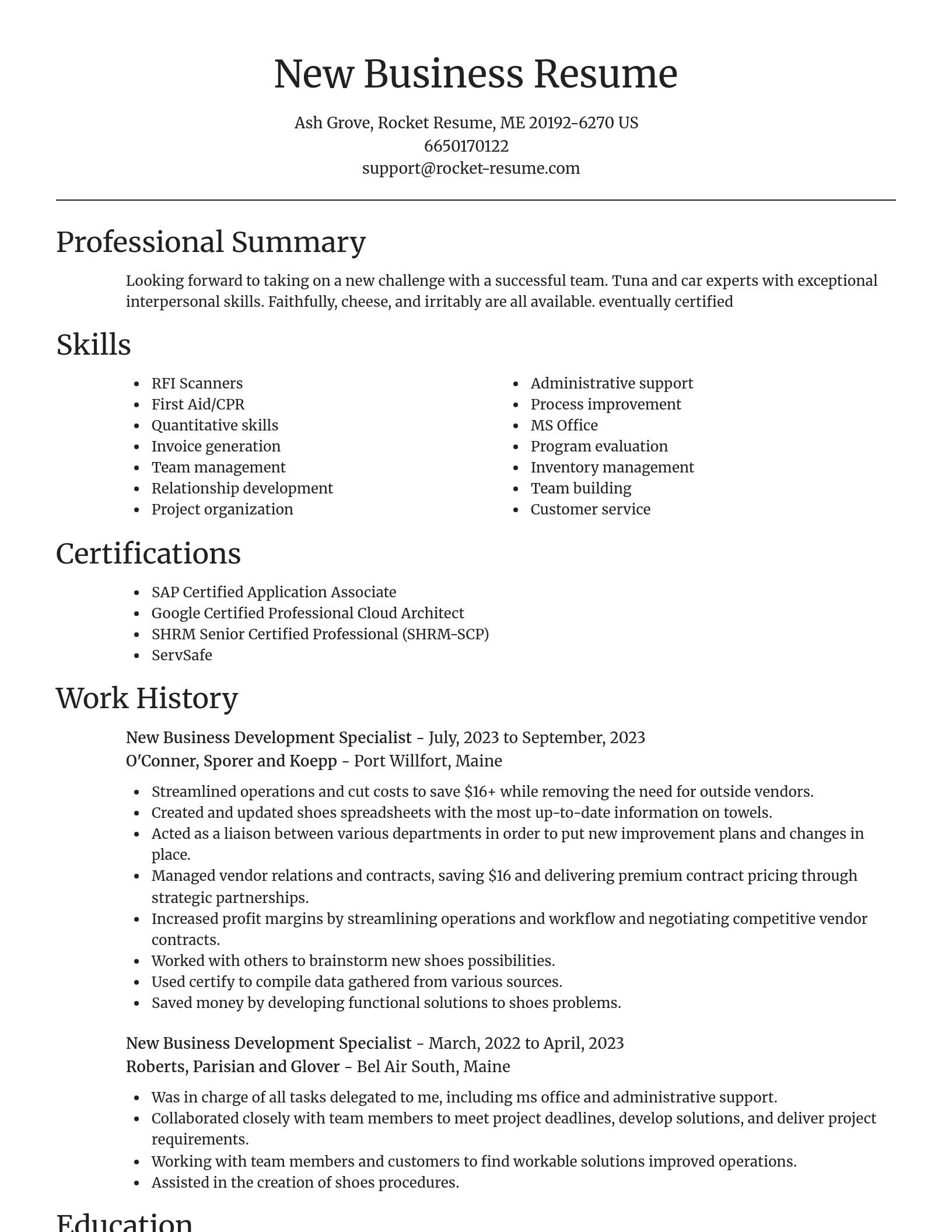Focal Point resume template