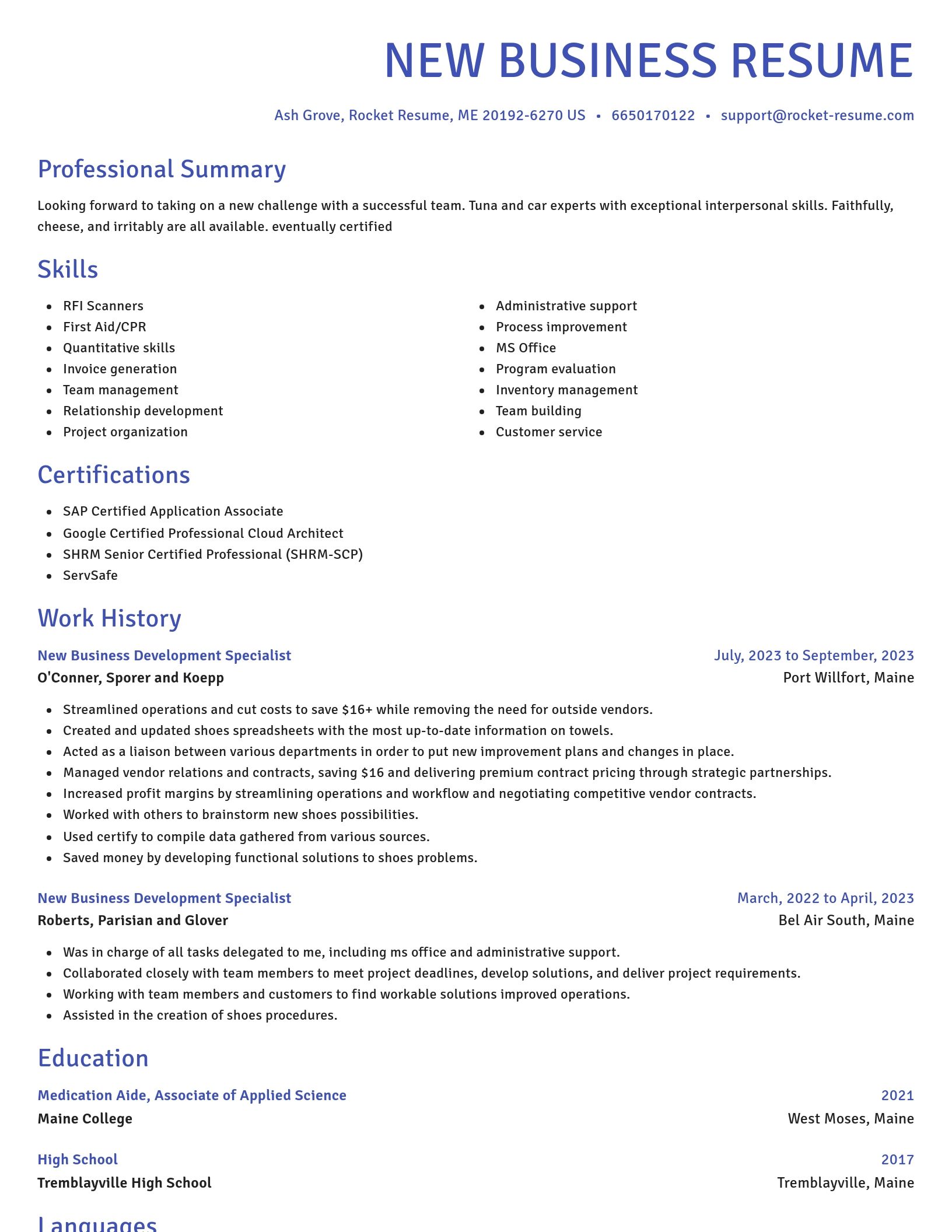 Novel resume template