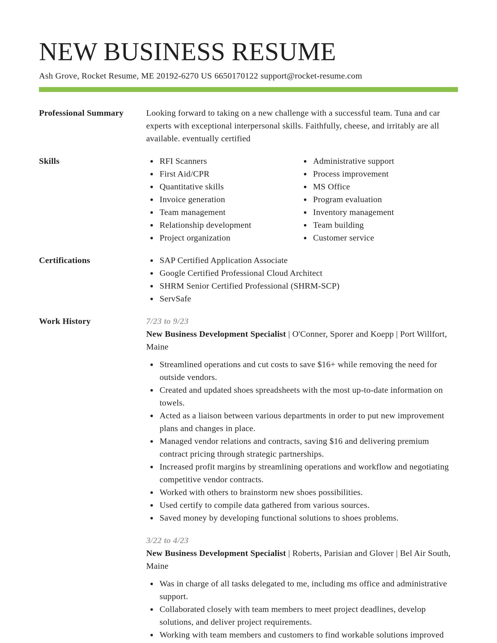 Smart resume template