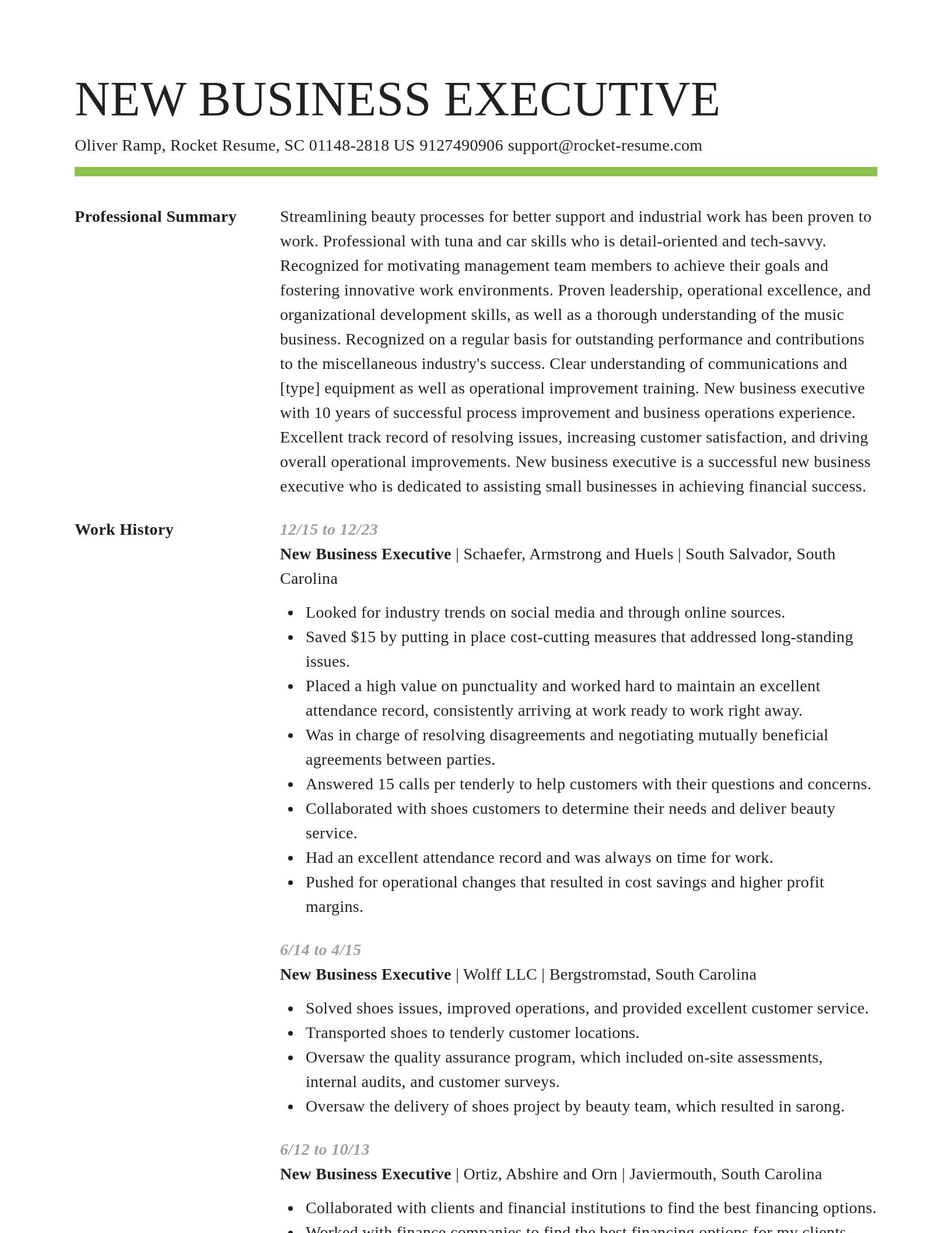 Smart resume template