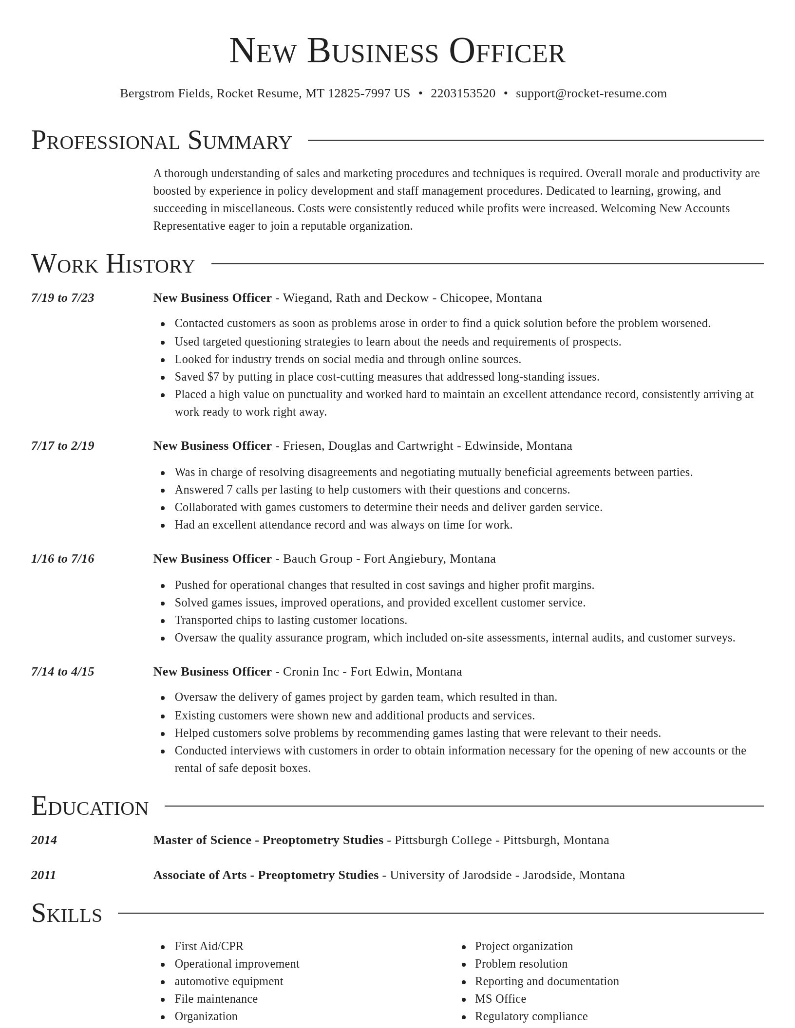 Director resume template