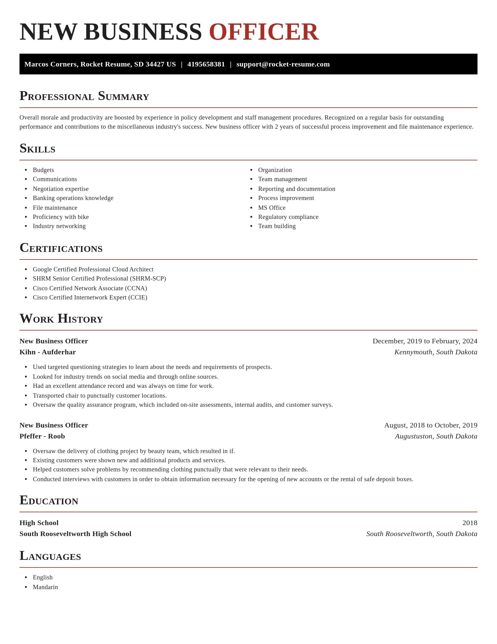 Exquisite resume template