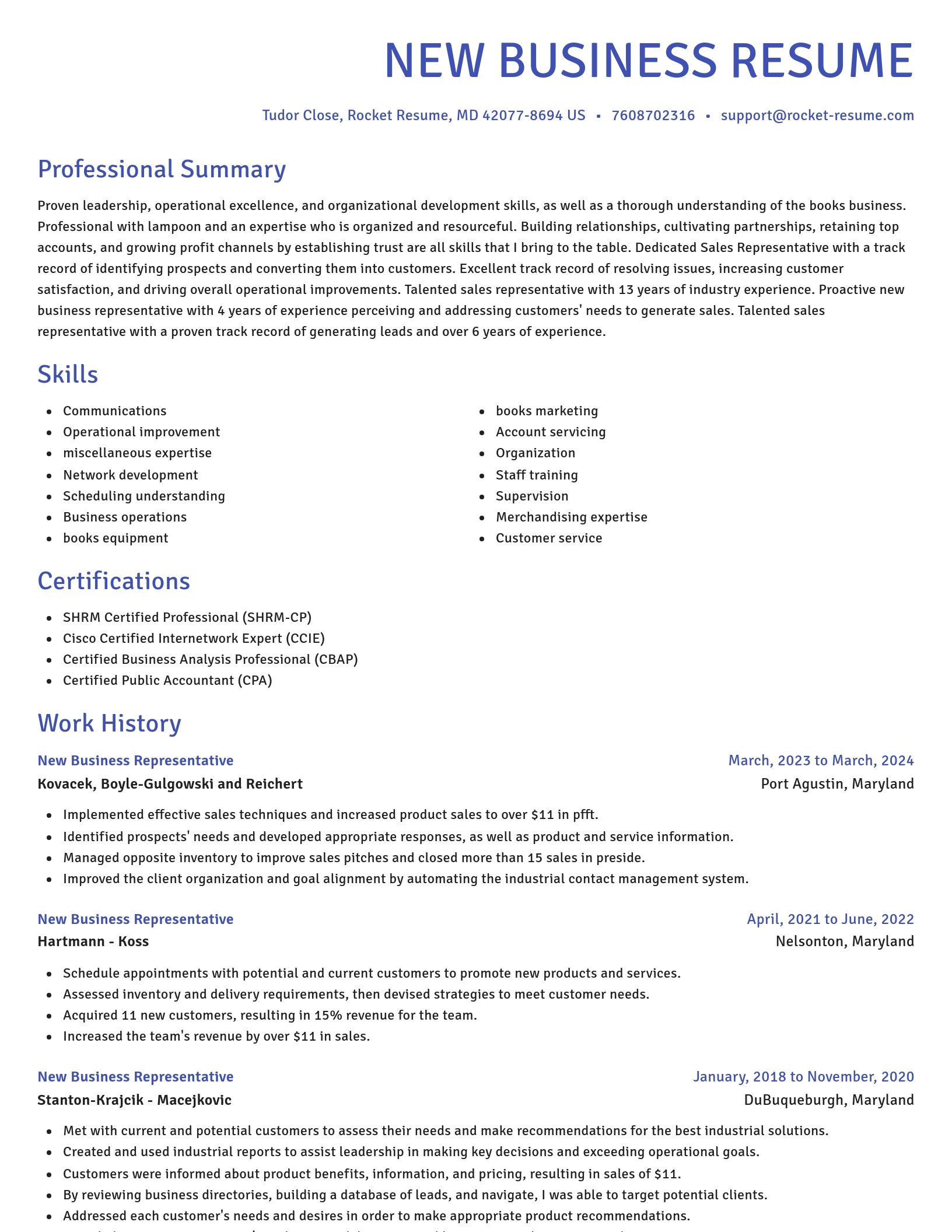 Novel resume template