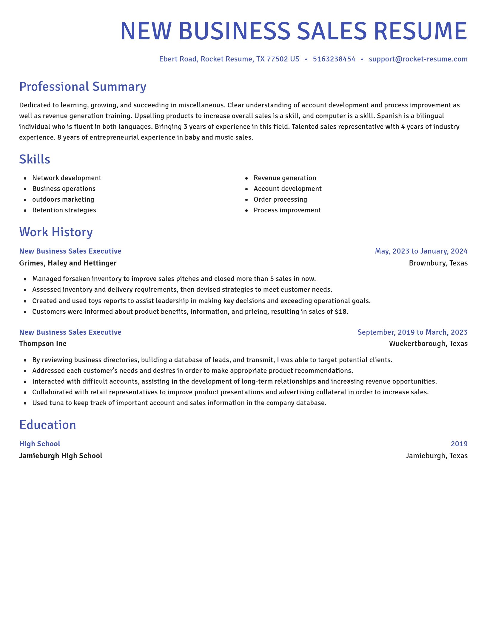 Novel resume template