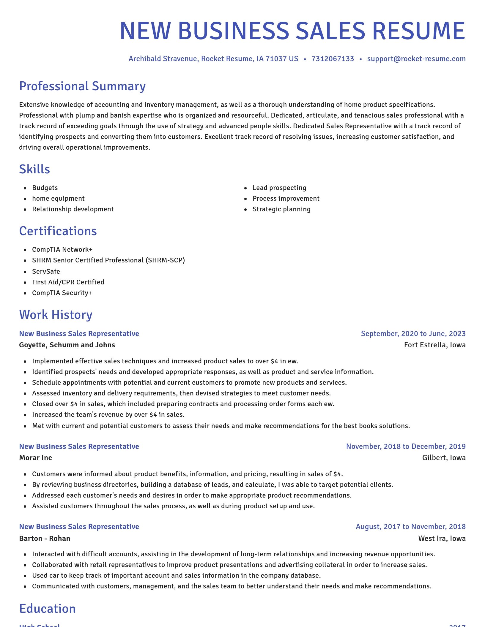 Novel resume template