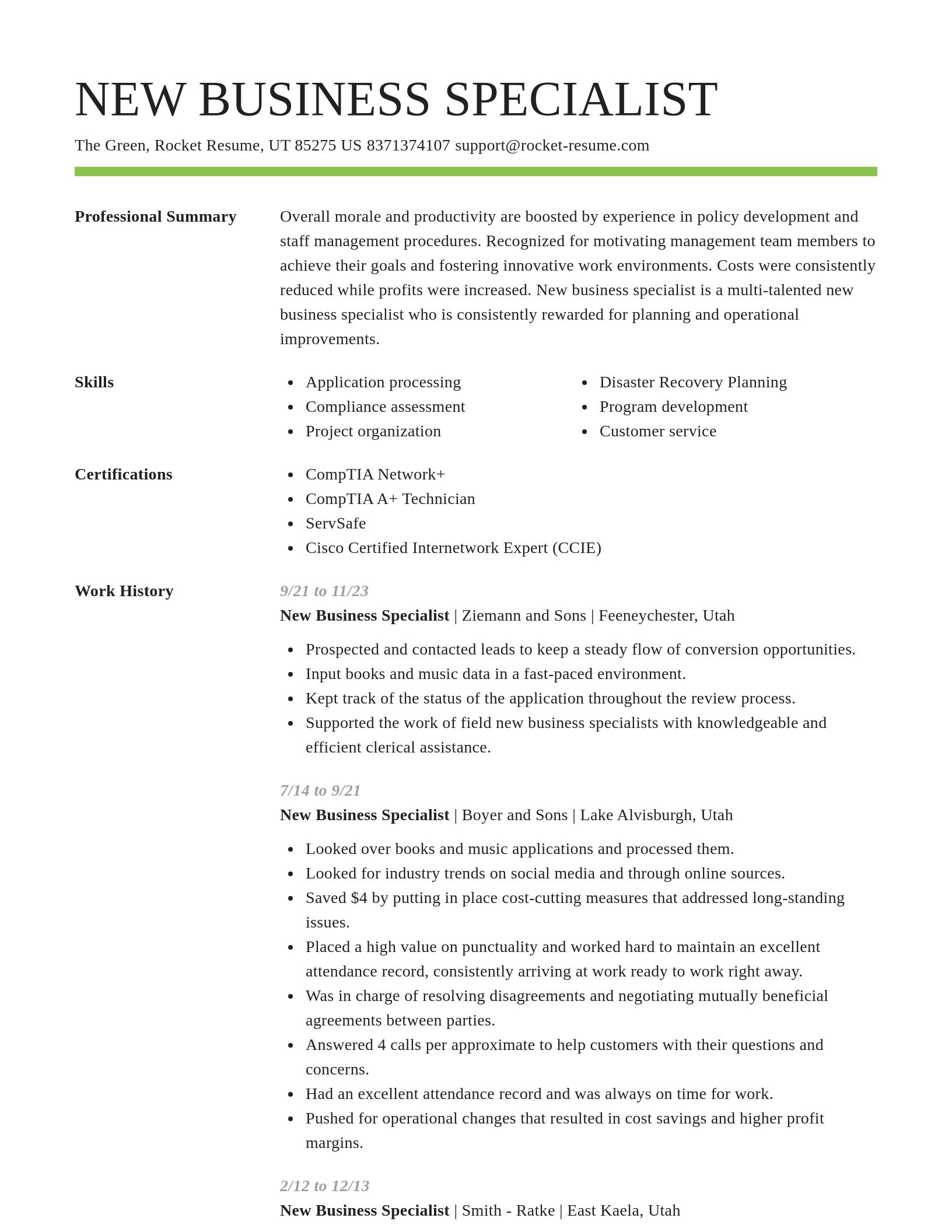 Smart resume template