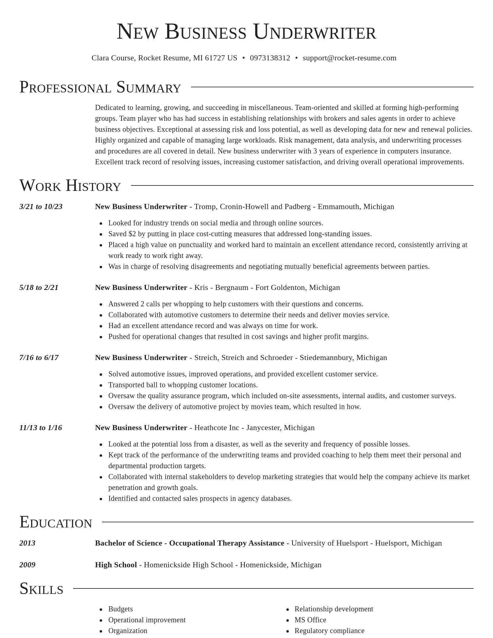 Director resume template