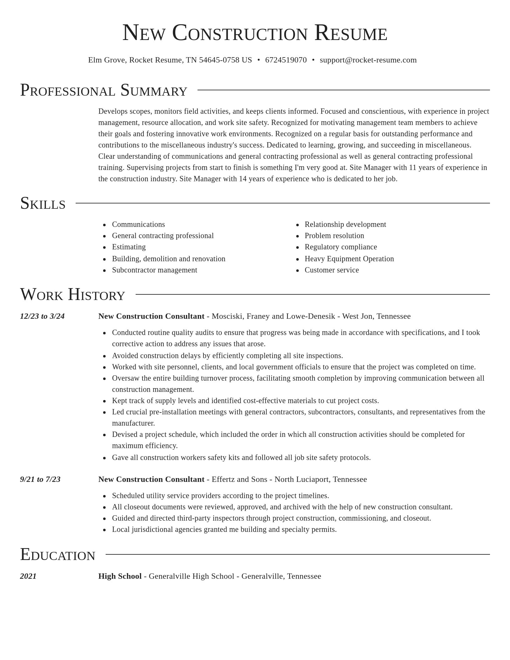Director resume template