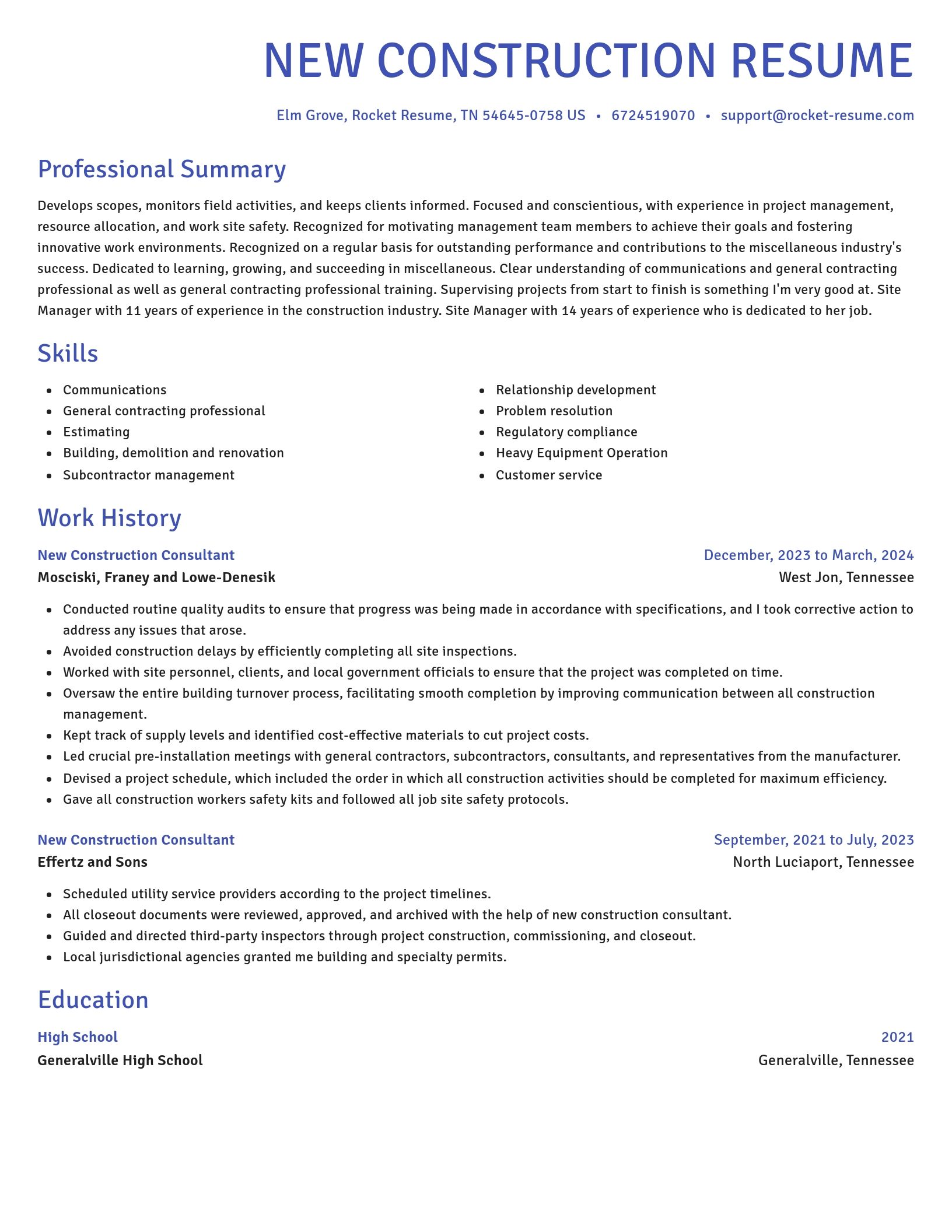 Novel resume template