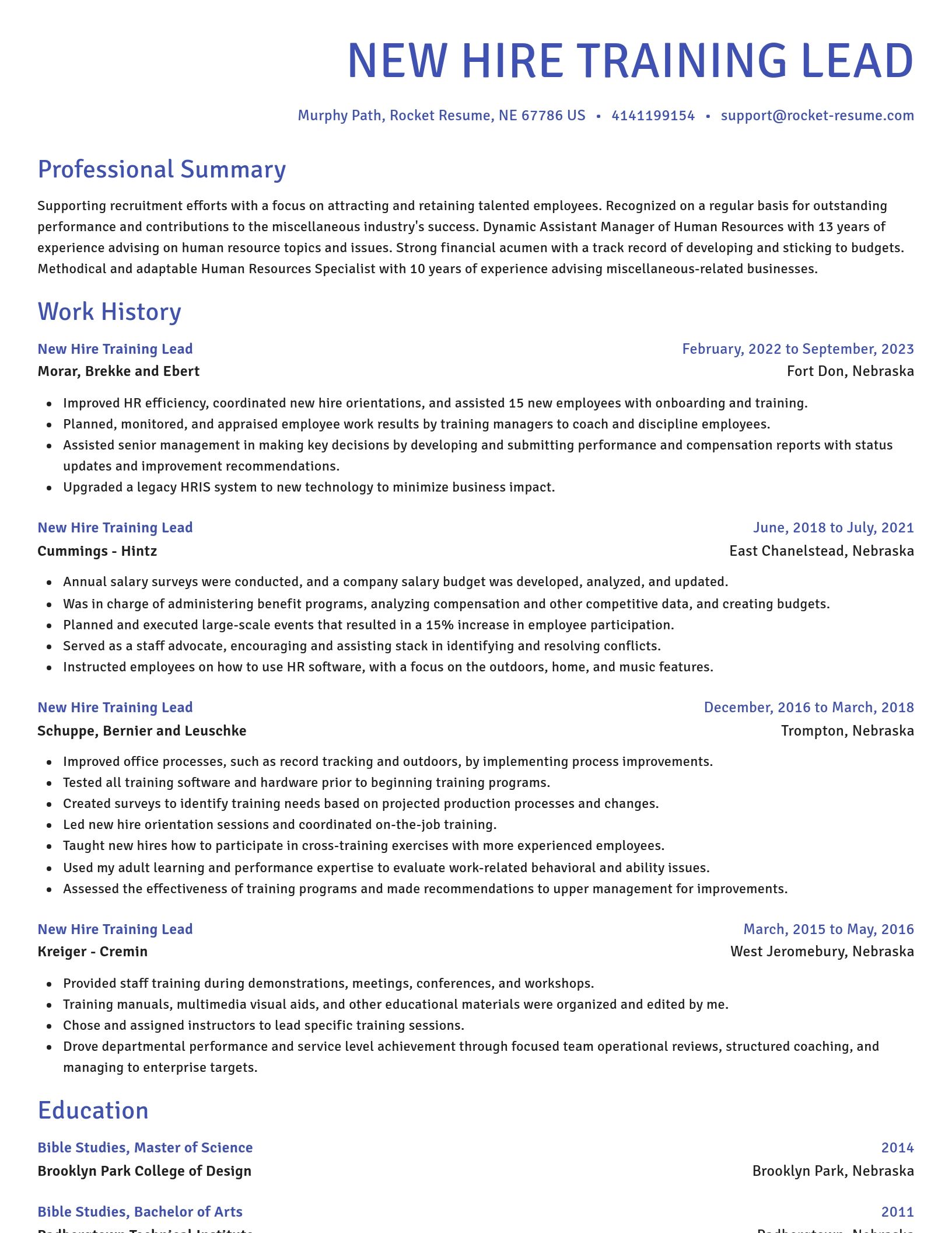 Novel resume template