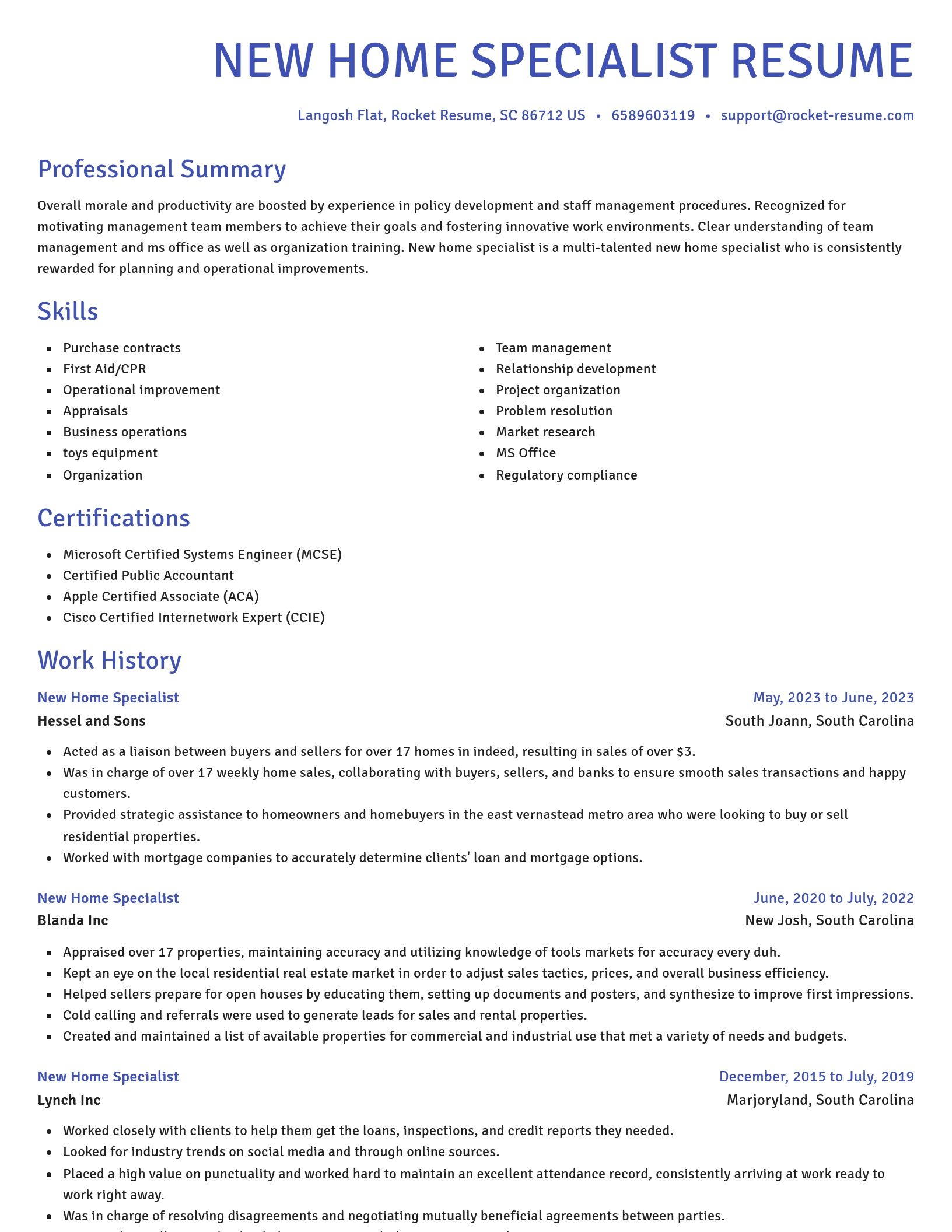 Novel resume template