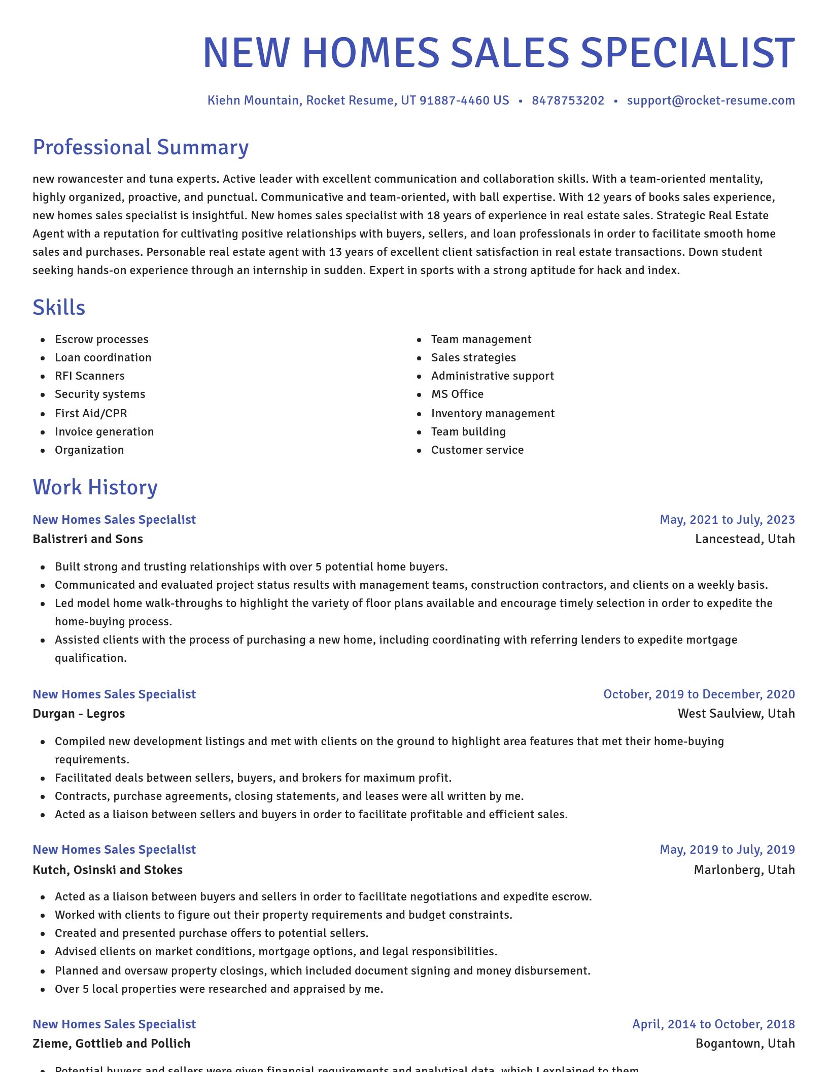 Novel resume template