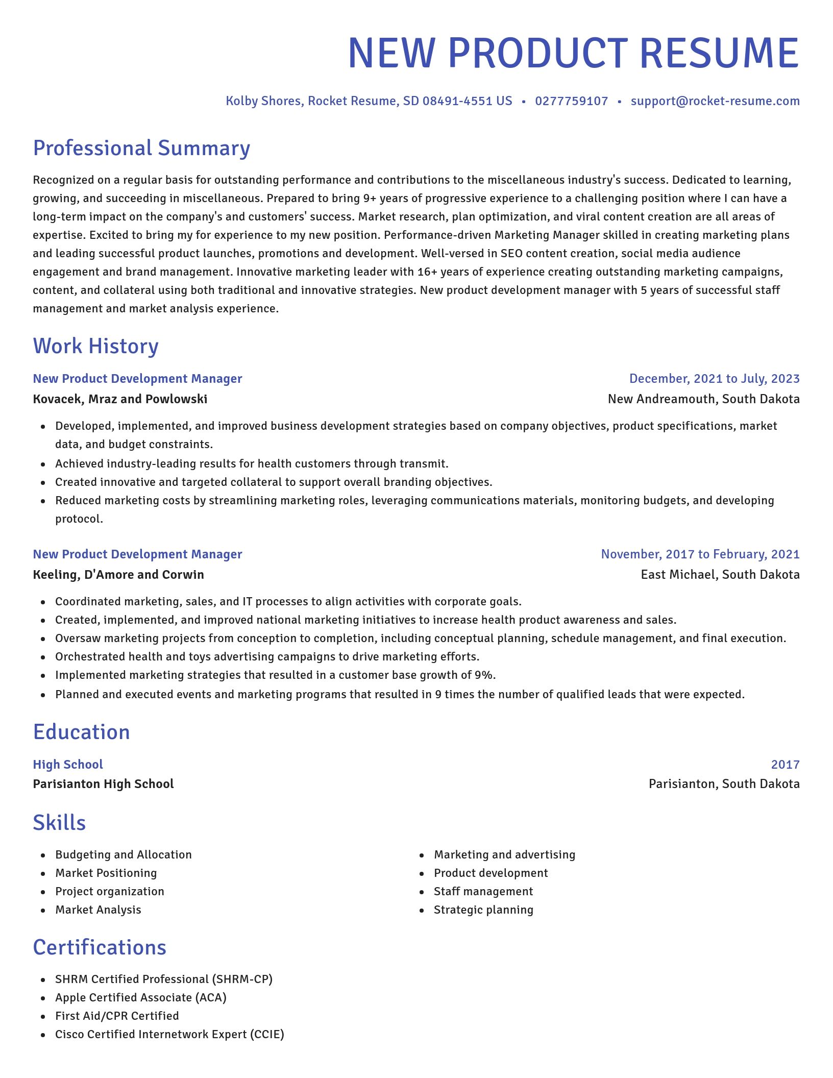 Novel resume template