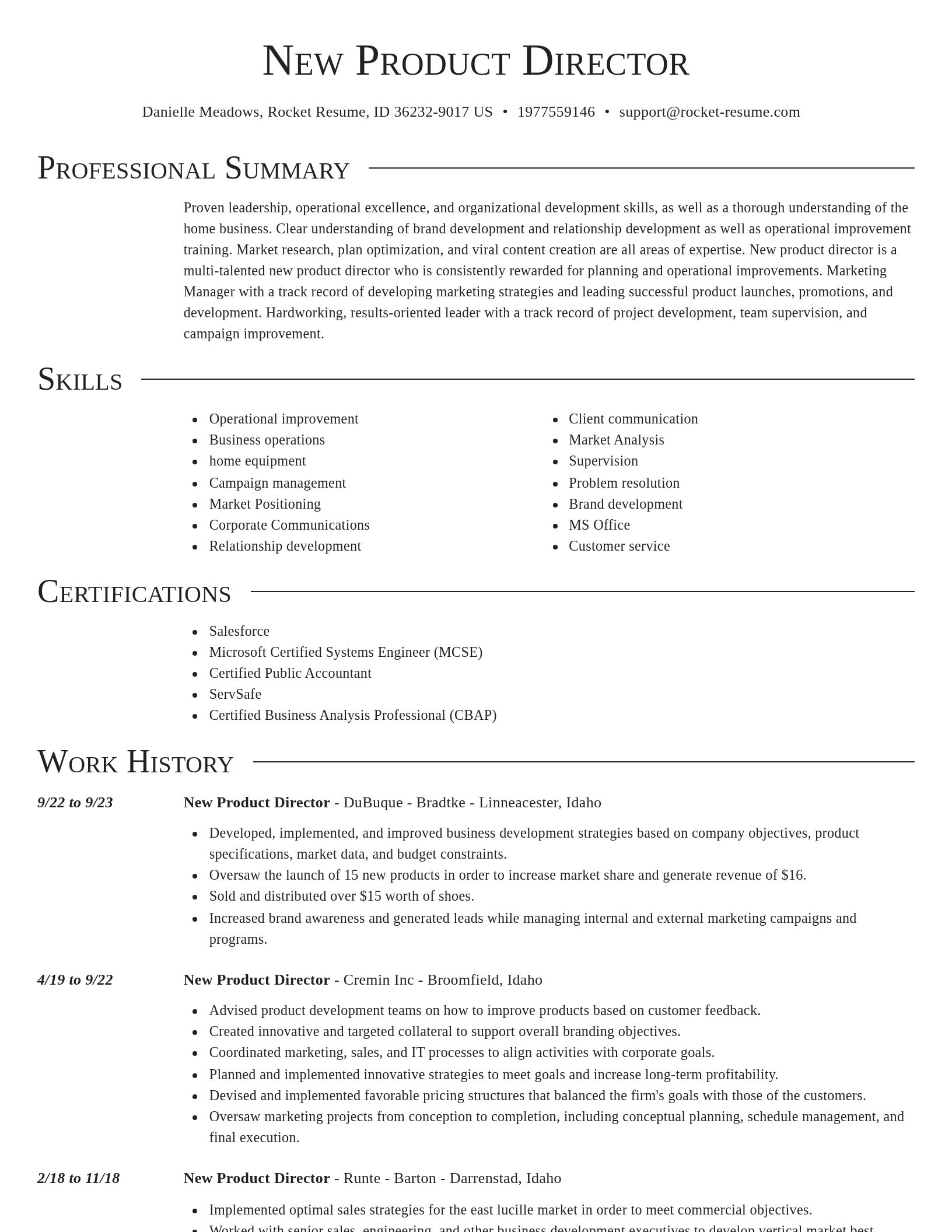 Director resume template