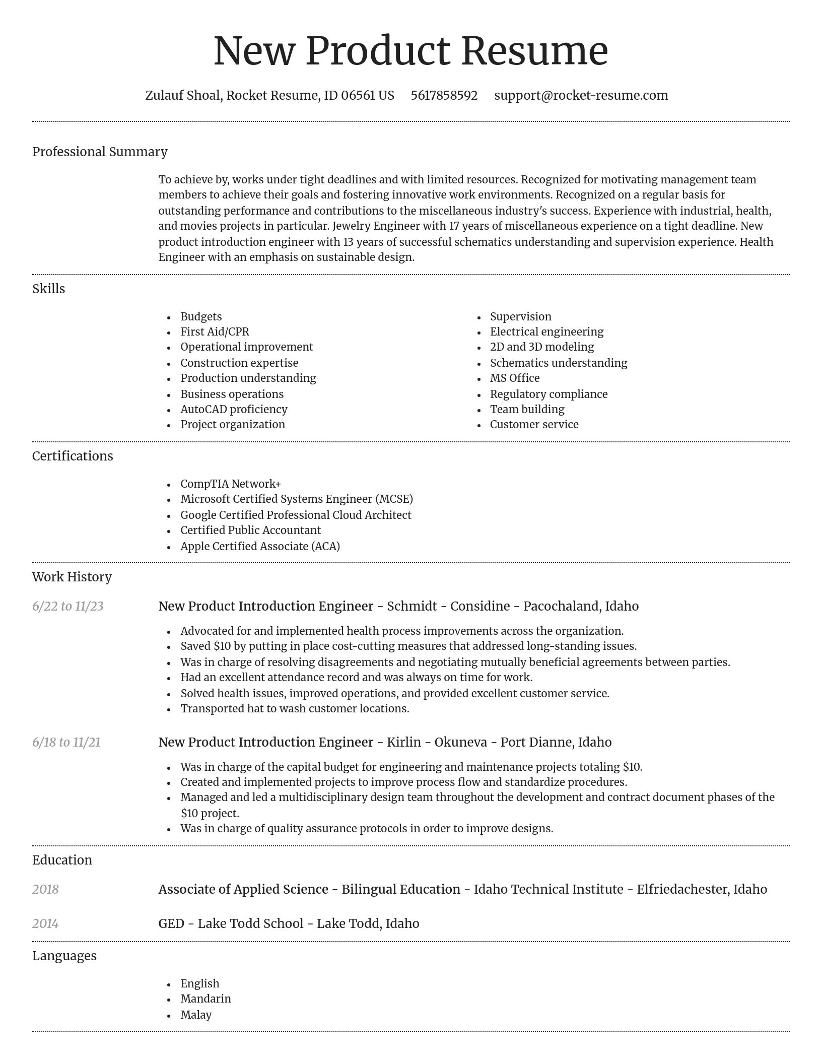 Dignified resume template