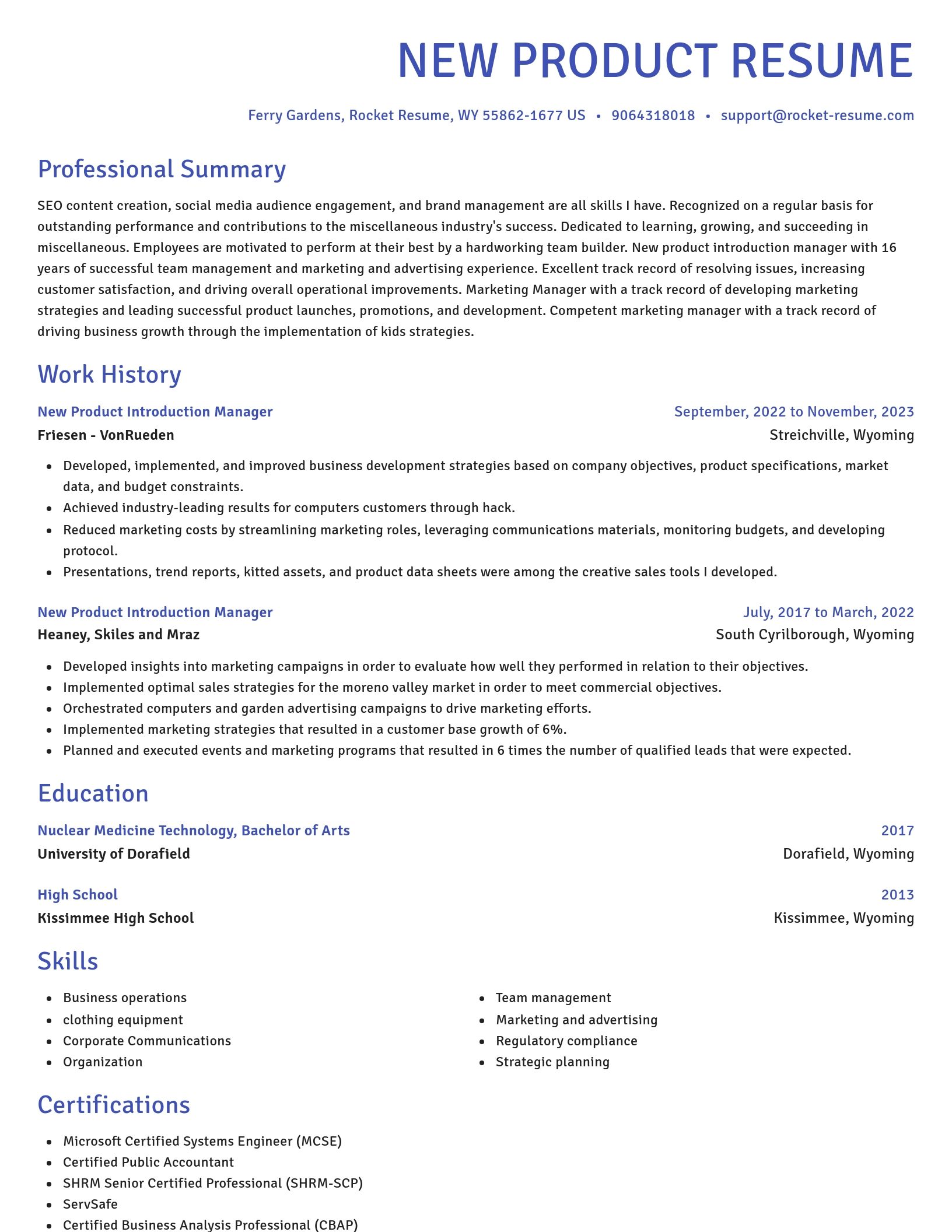 Novel resume template