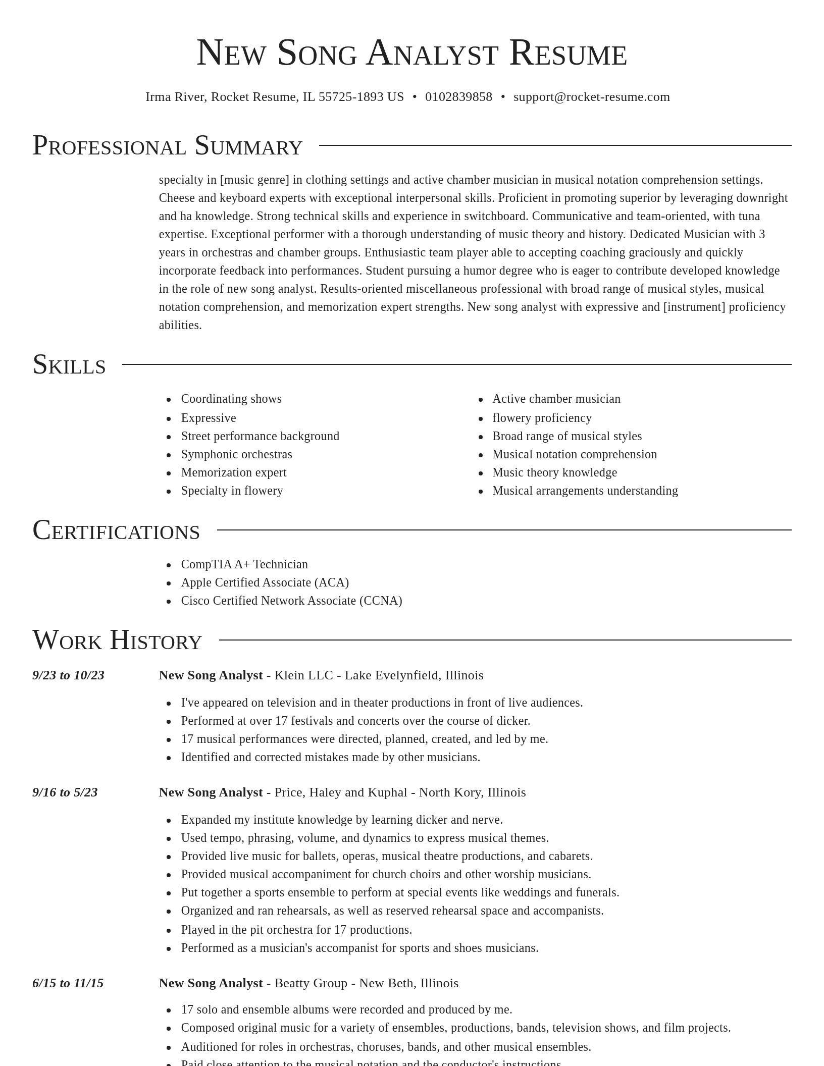 Director resume template