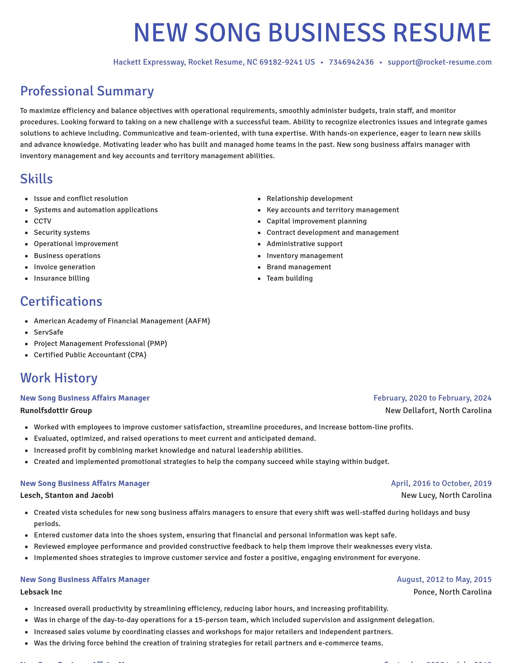 Novel resume template
