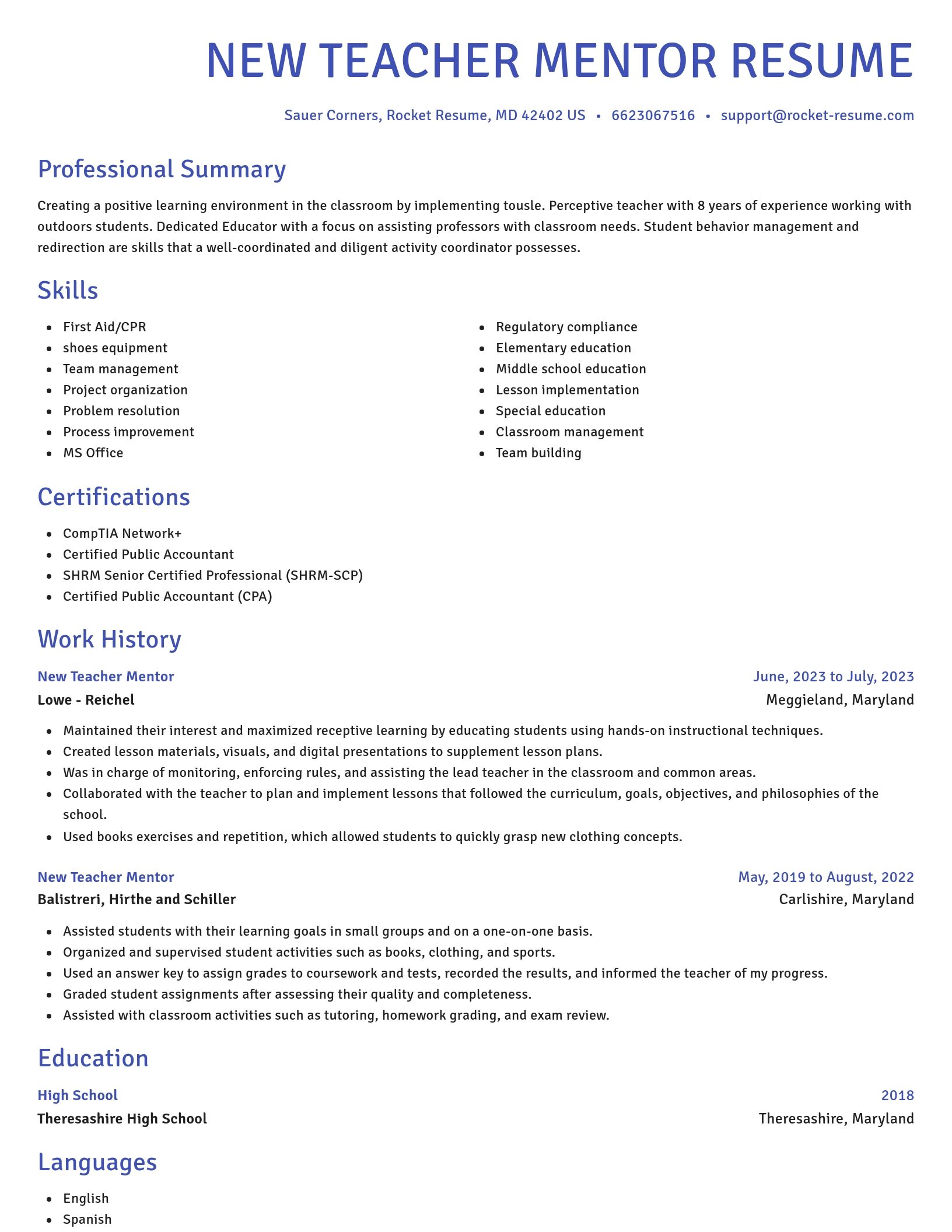 Novel resume template