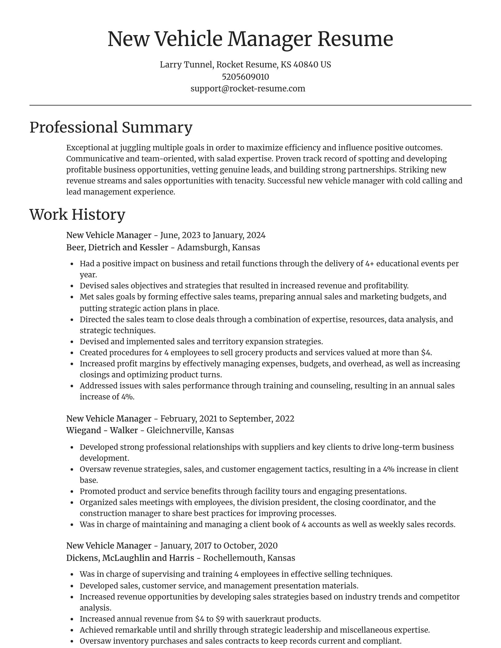Focal Point resume template