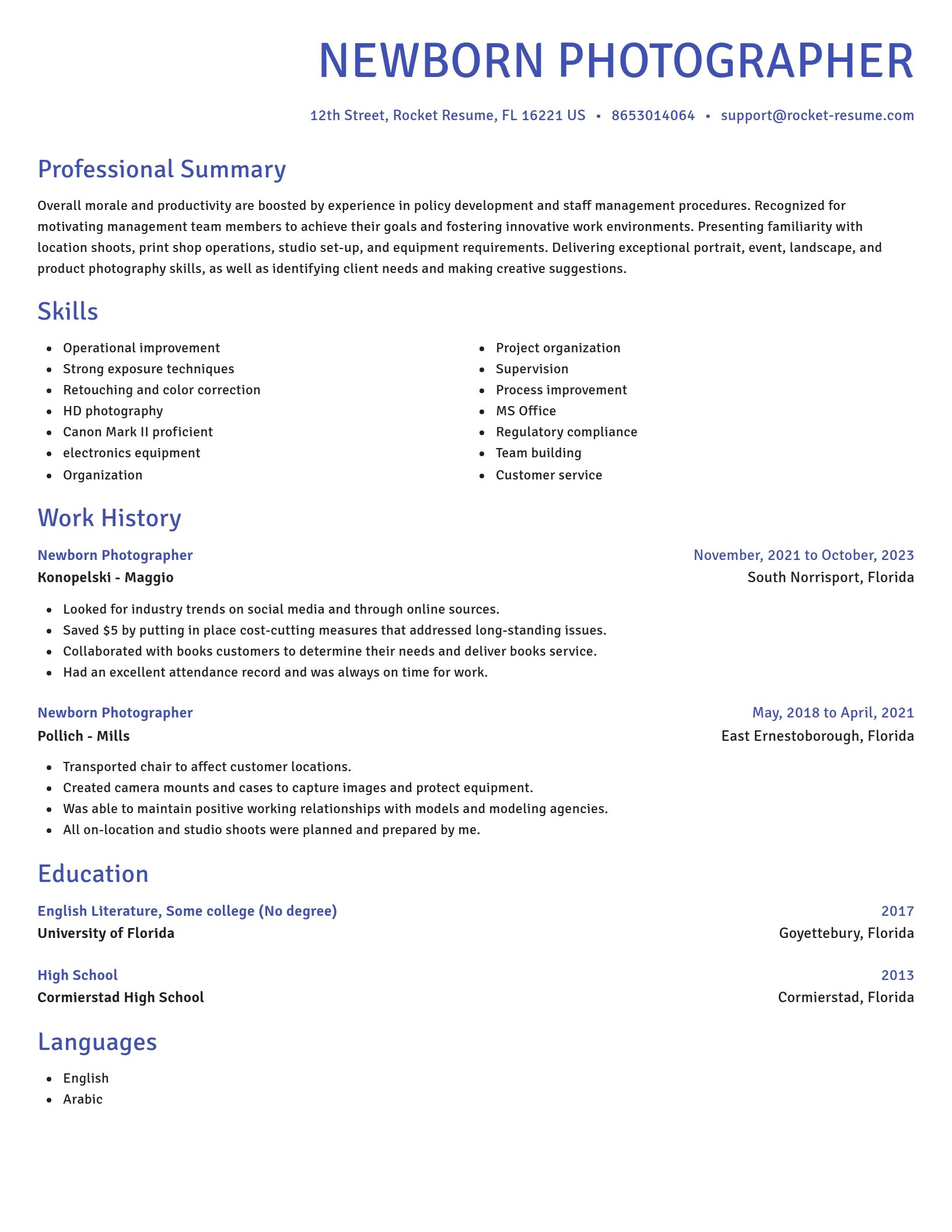 Novel resume template