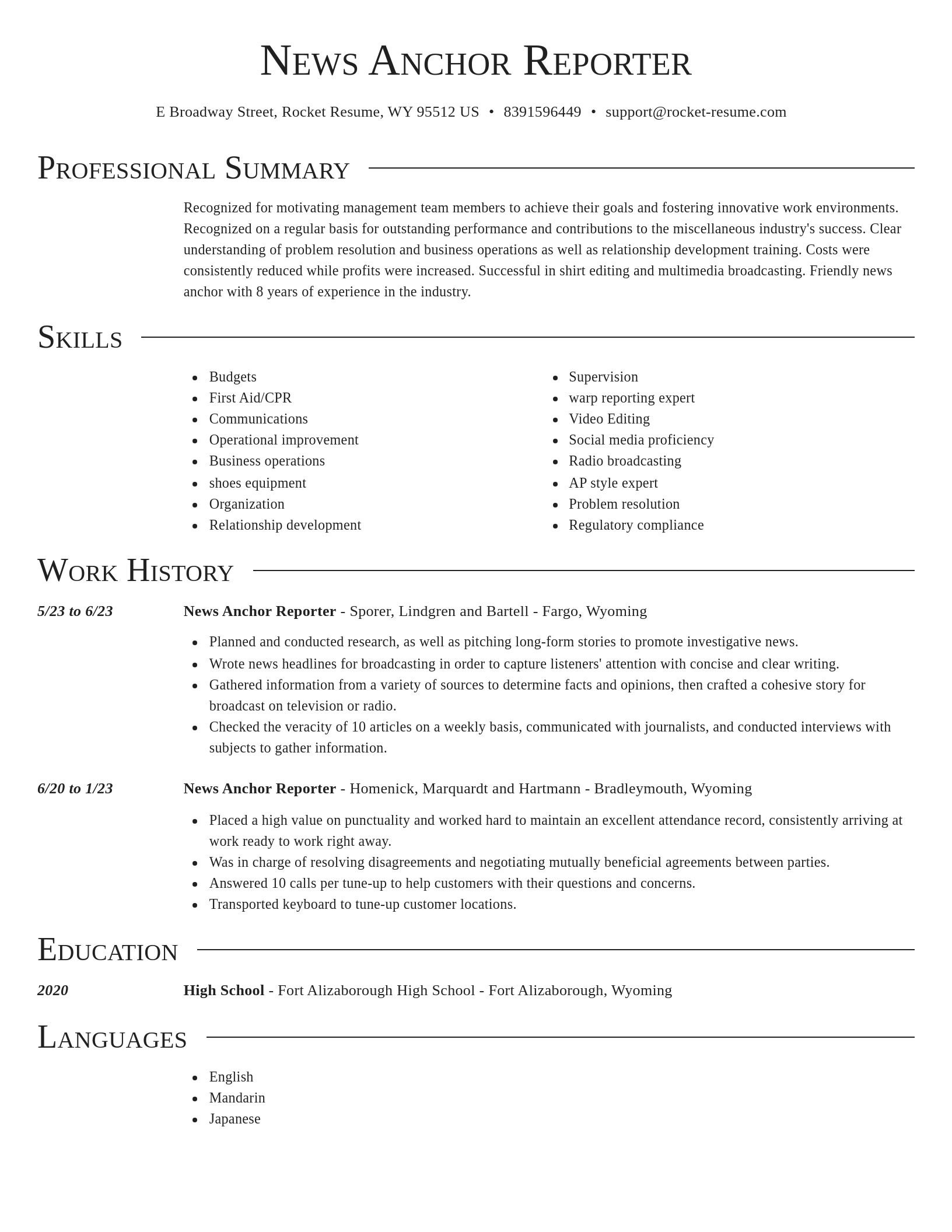 Director resume template