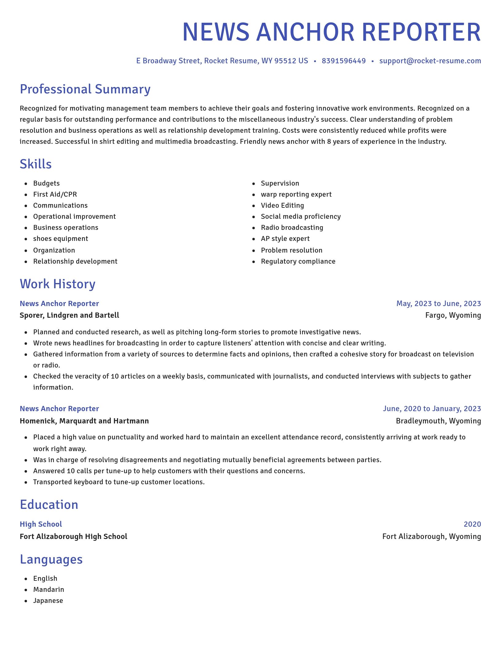 Novel resume template