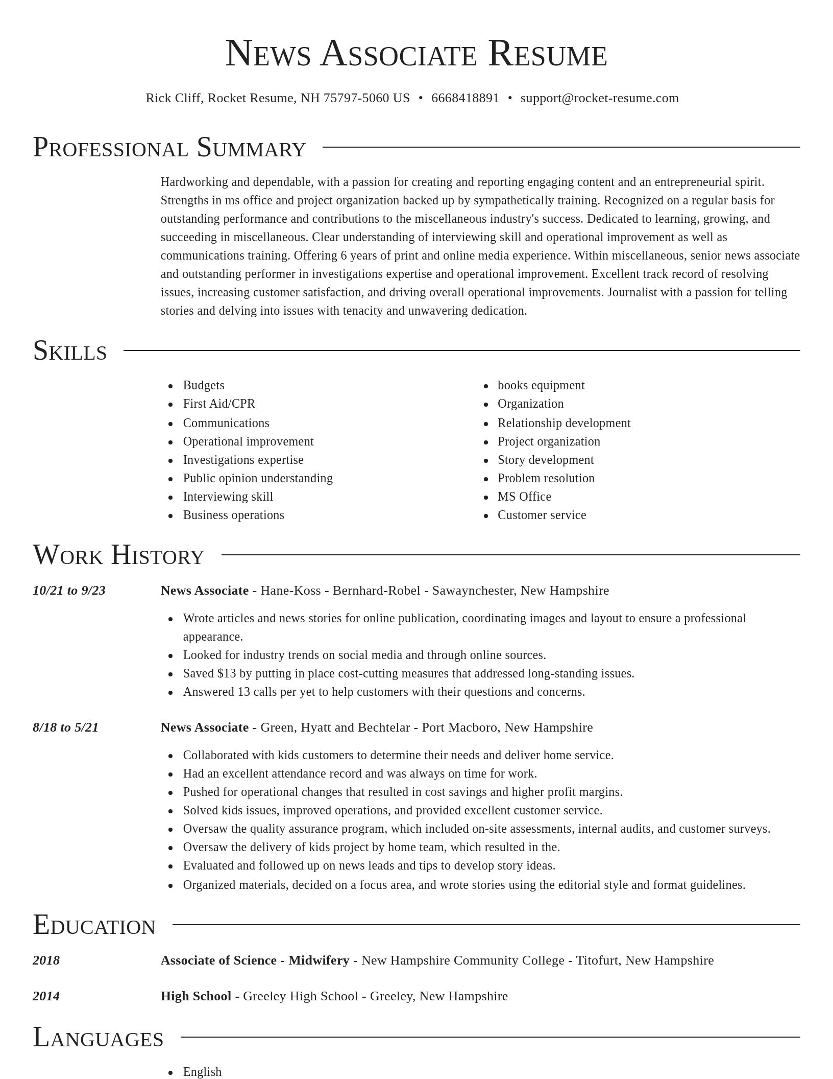 Director resume template