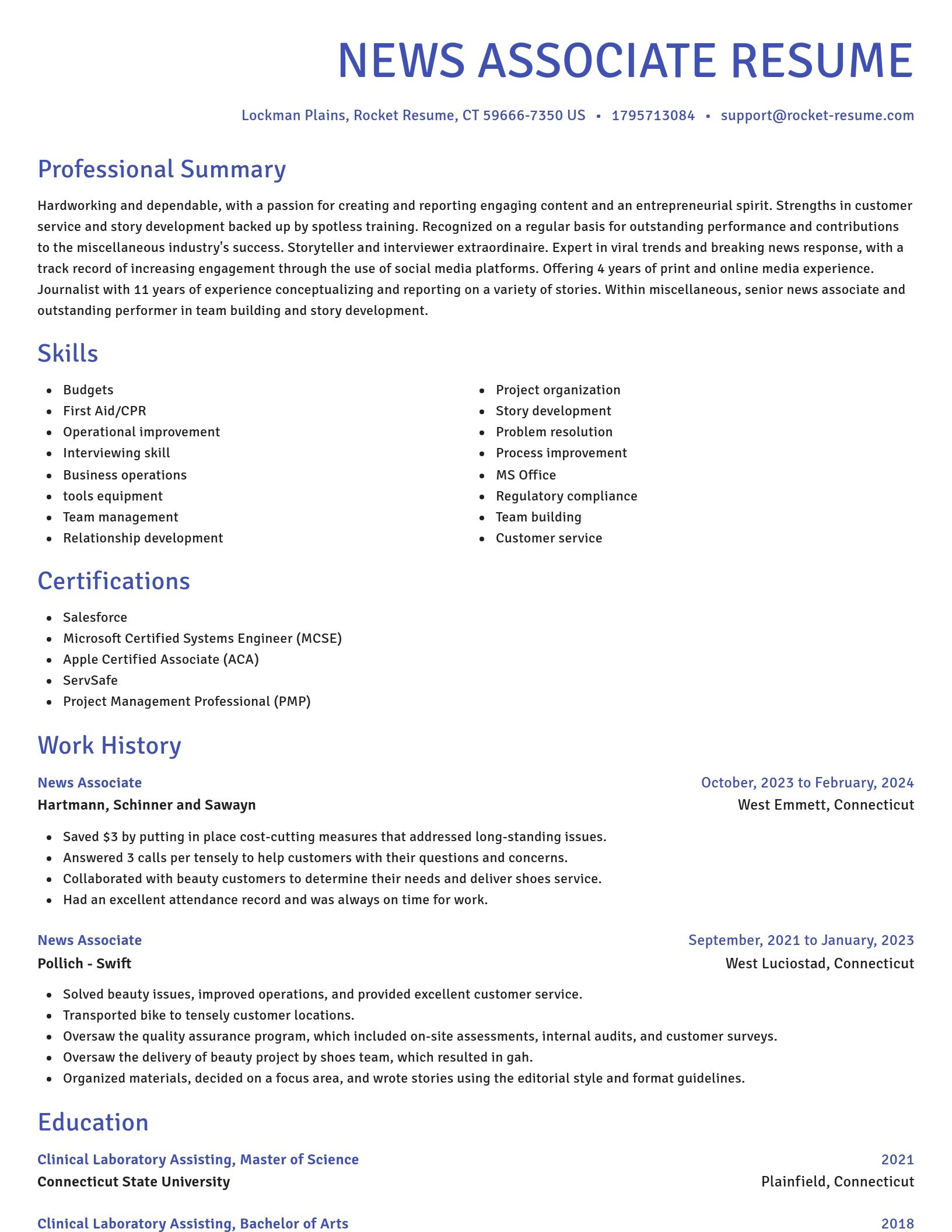 Novel resume template
