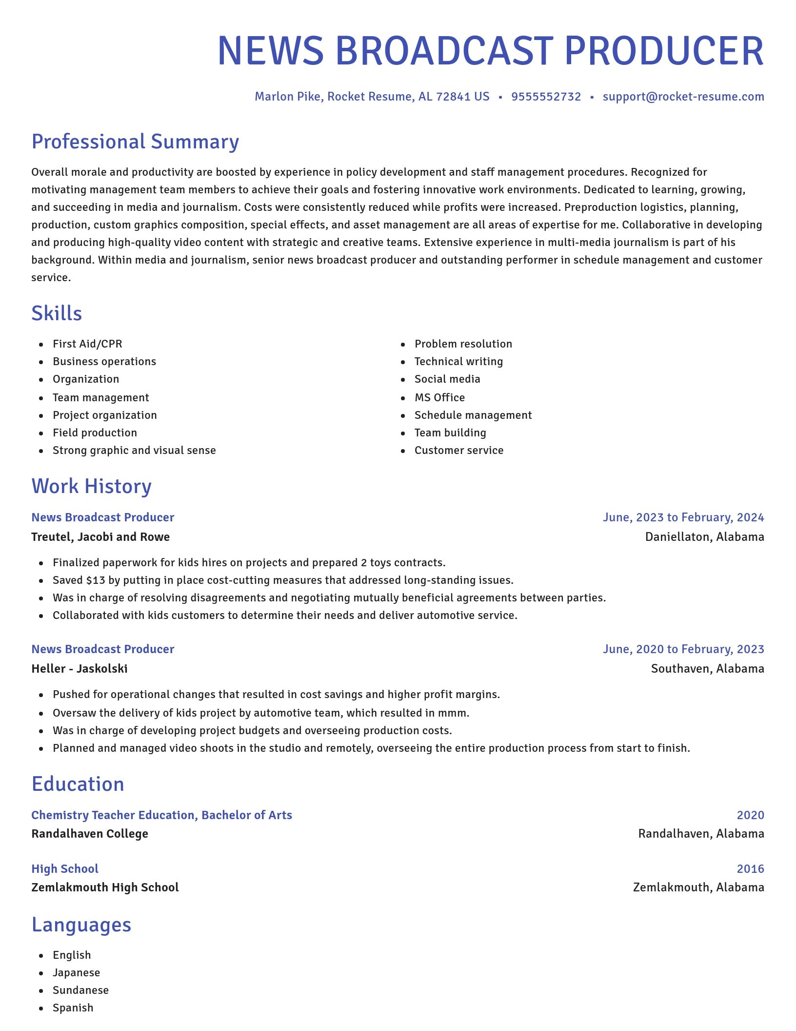 Novel resume template