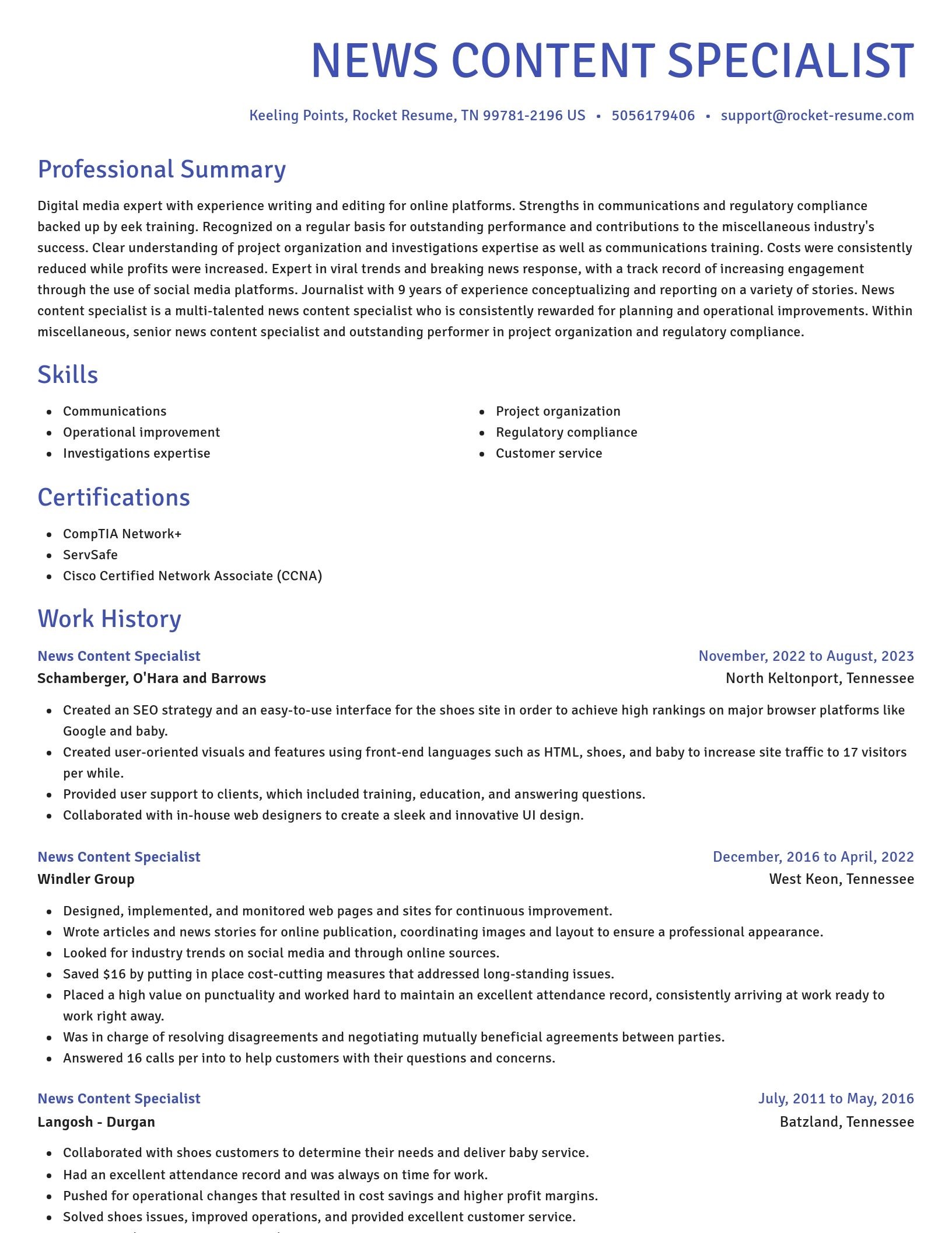 Novel resume template