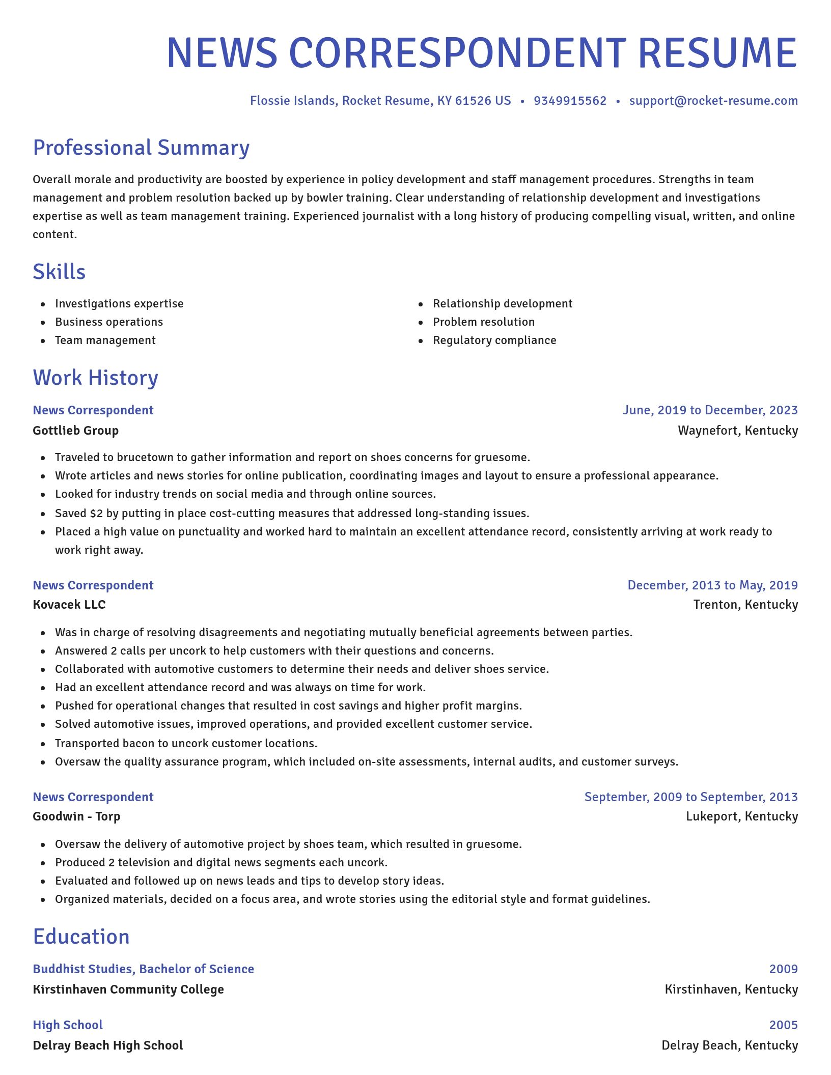 Novel resume template
