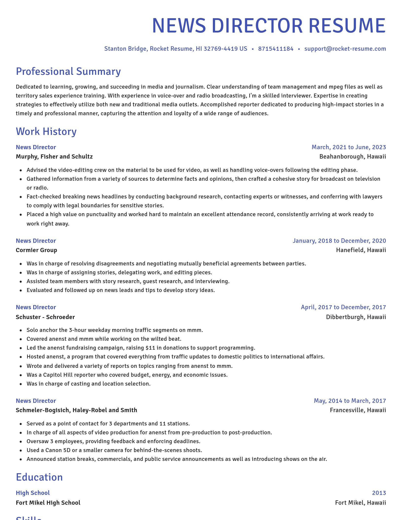 Novel resume template