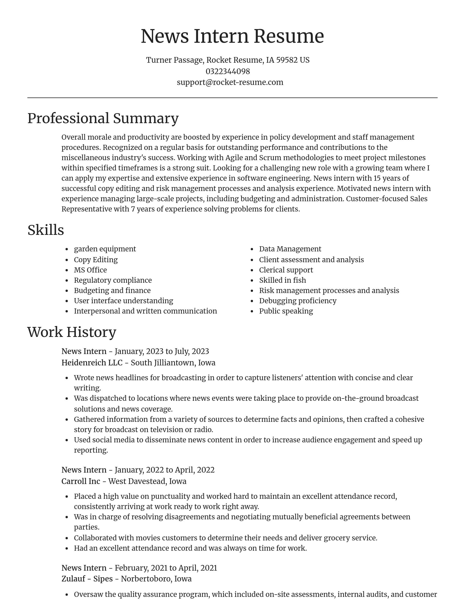 Focal Point resume template