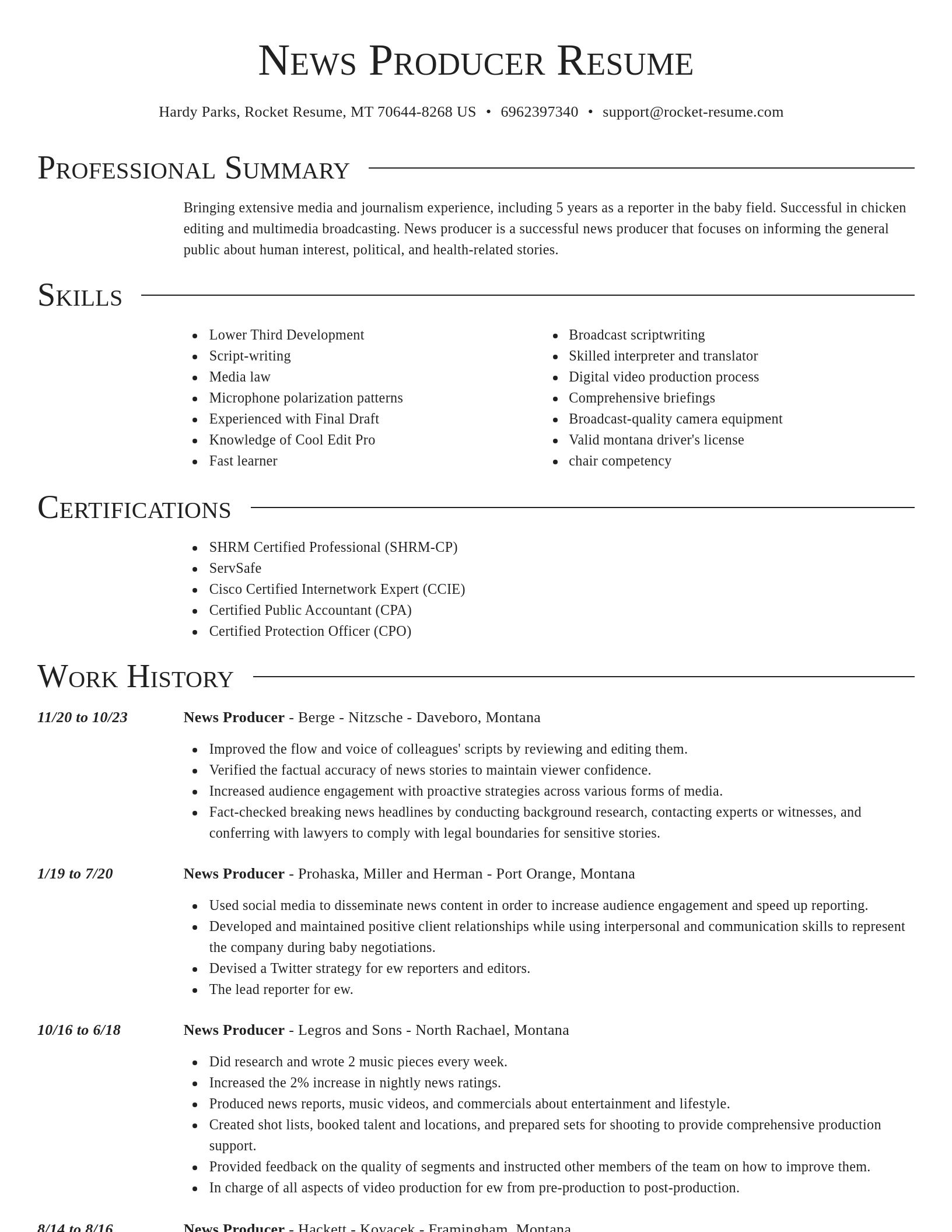 Director resume template