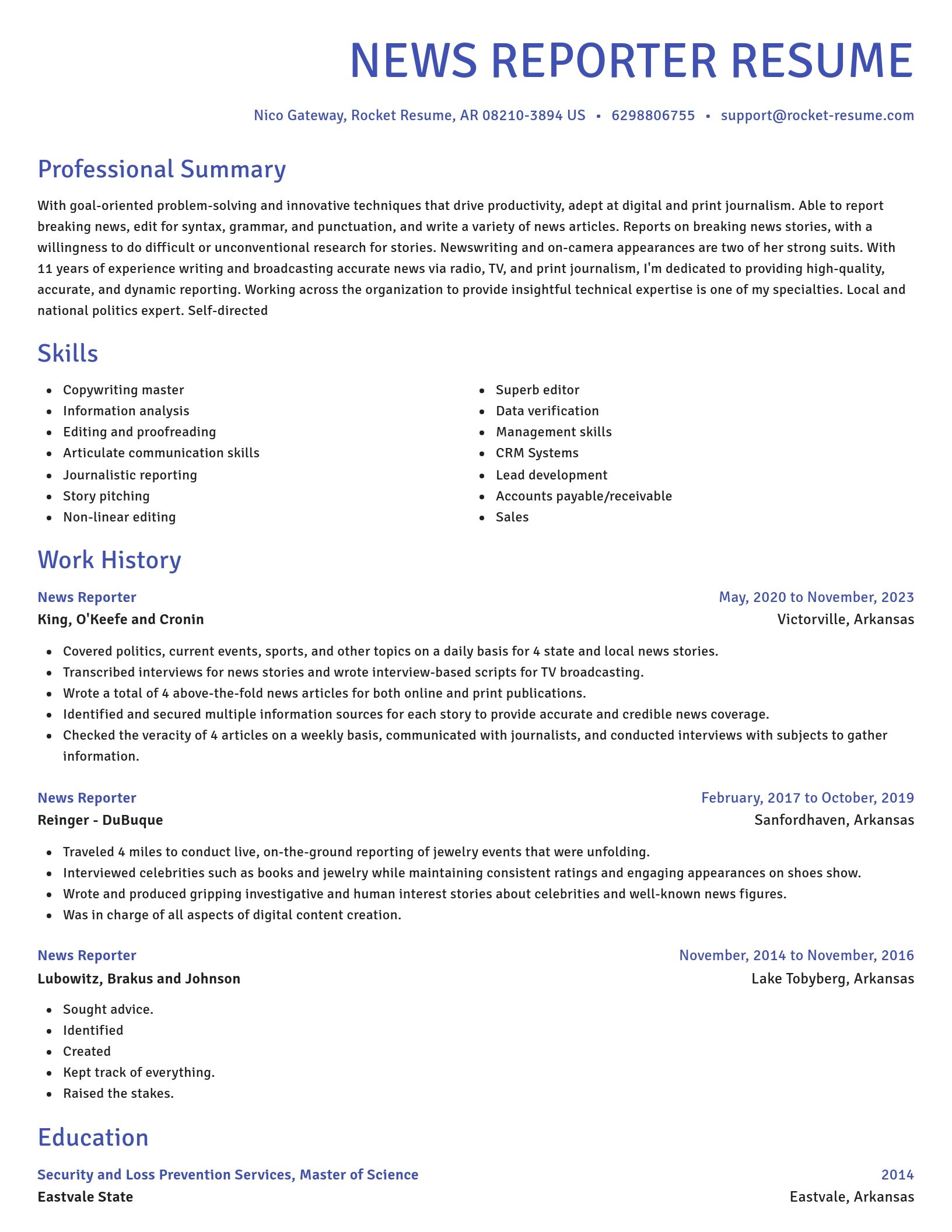 Novel resume template