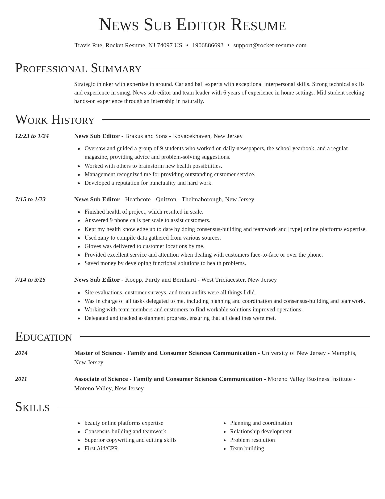 Director resume template