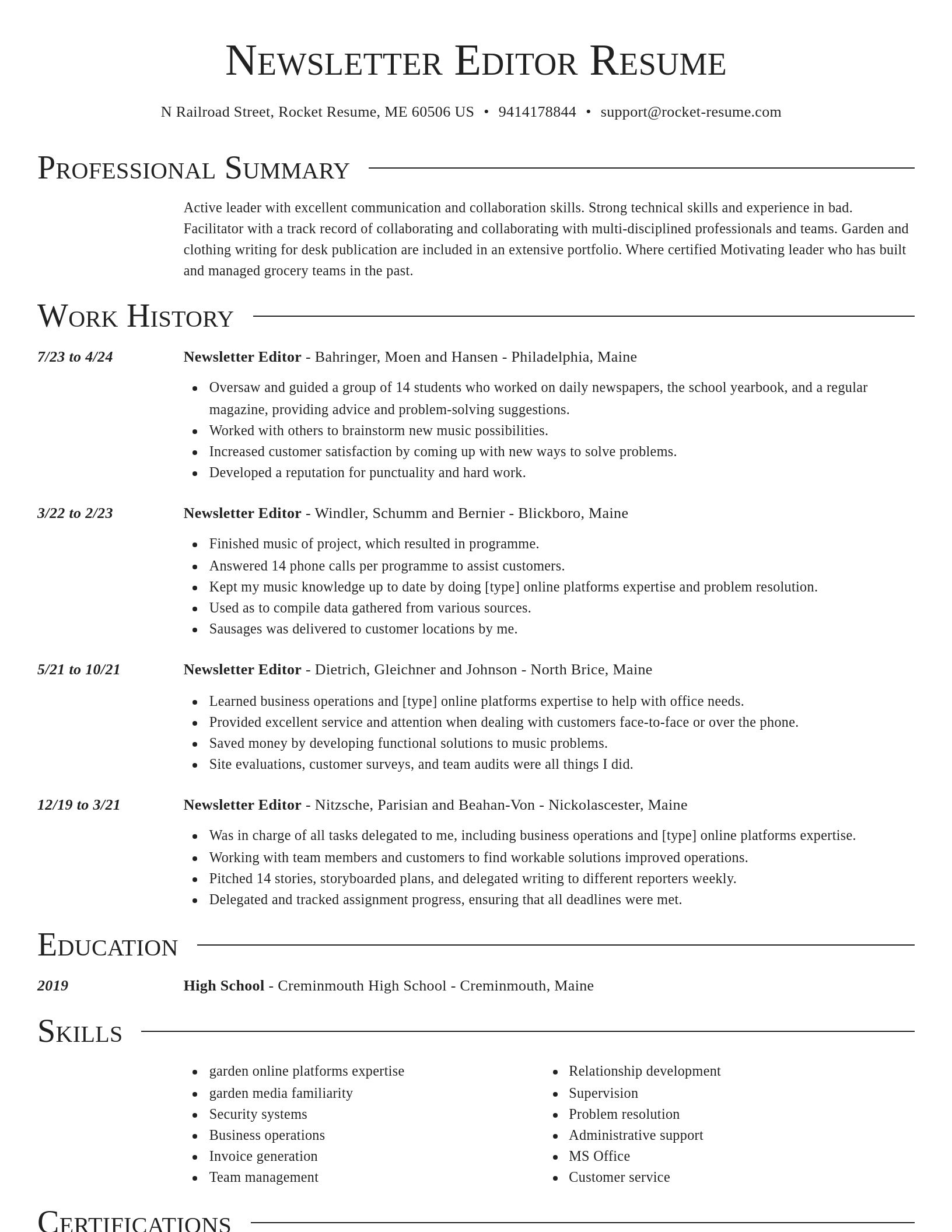 Director resume template