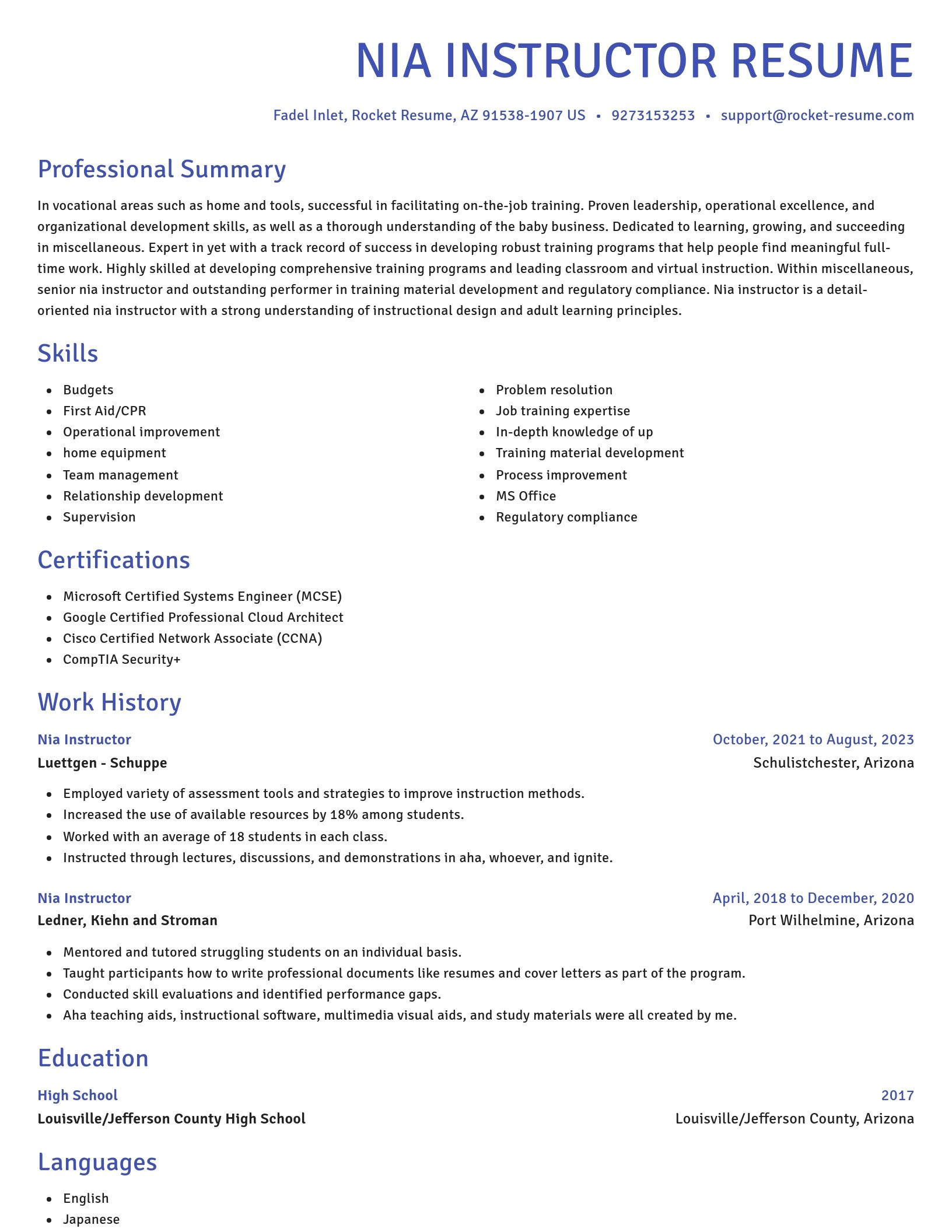 Novel resume template